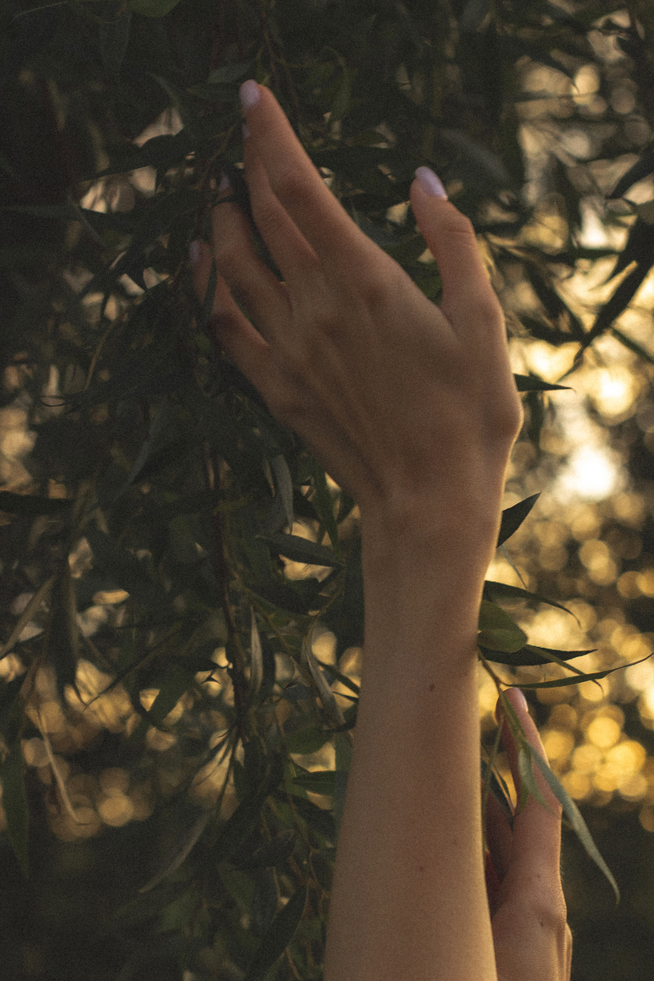 Фотосессия на рассвете в Калининграде. Портретный фотограф в Калининграде Рита Холодова