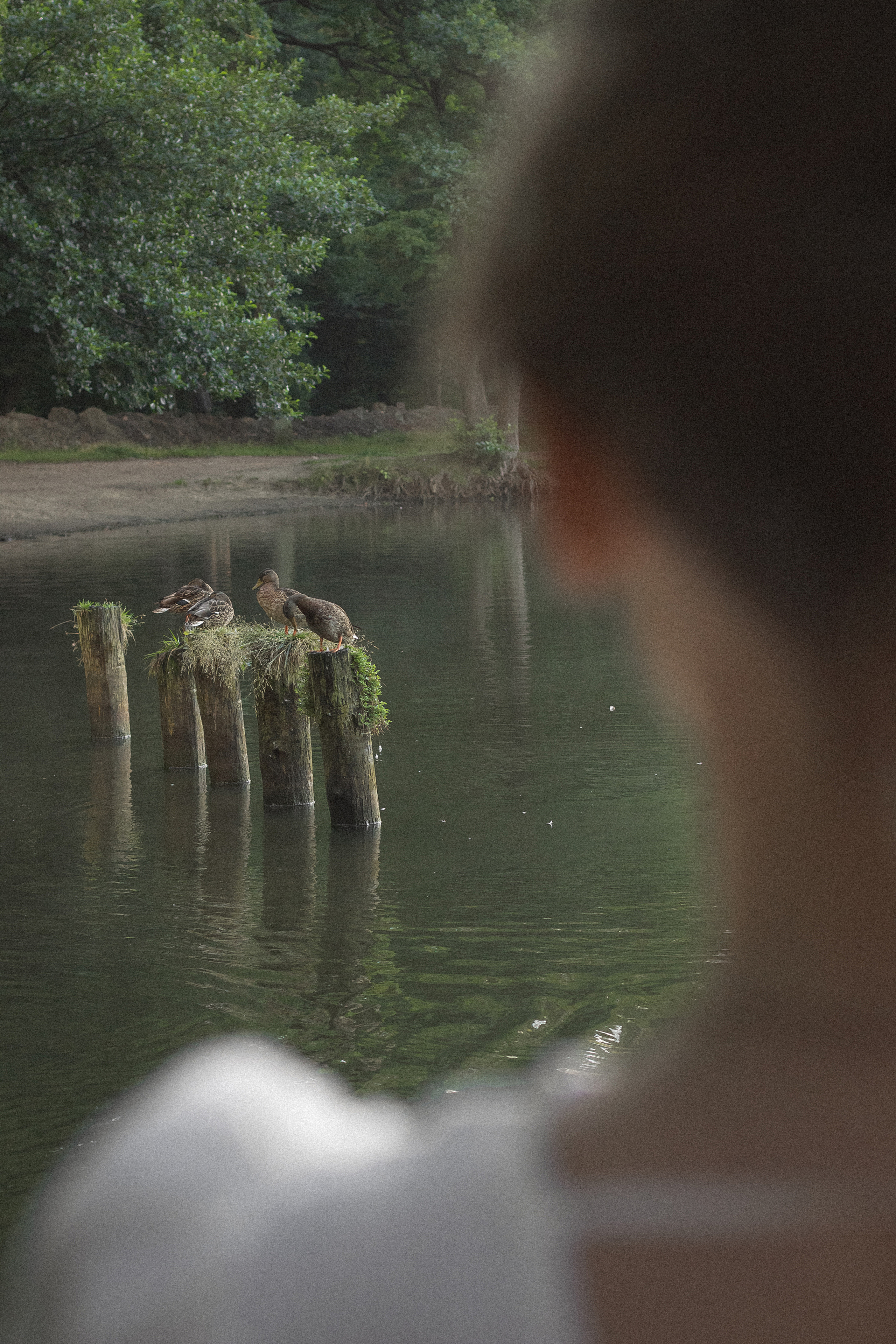 Фотосессия на рассвете в Калининграде. Портретный фотограф в Калининграде Рита Холодова