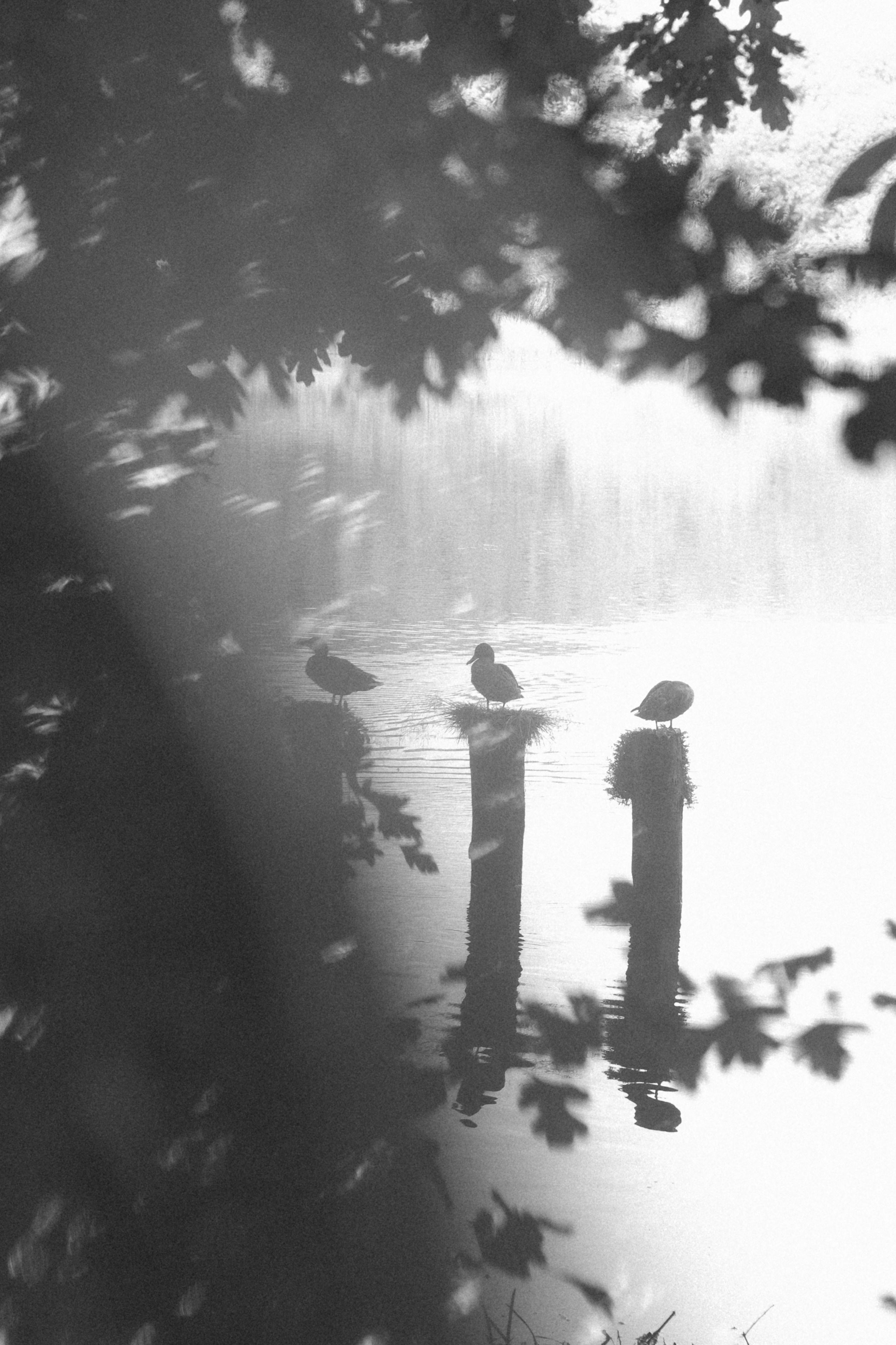 Фотосессия на рассвете в Калининграде. Портретный фотограф в Калининграде Рита Холодова