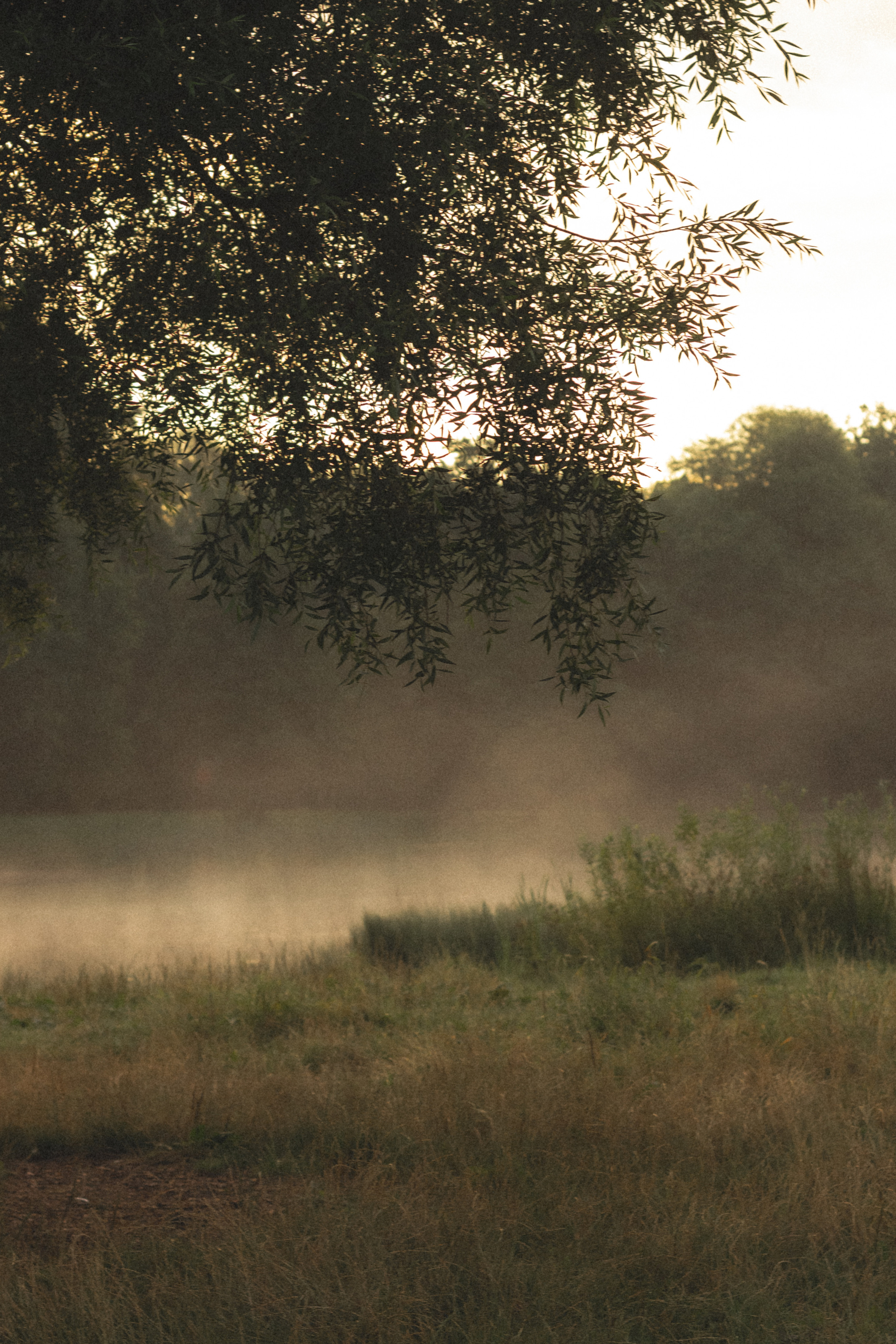 Фотосессия на рассвете в Калининграде. Портретный фотограф в Калининграде Рита Холодова