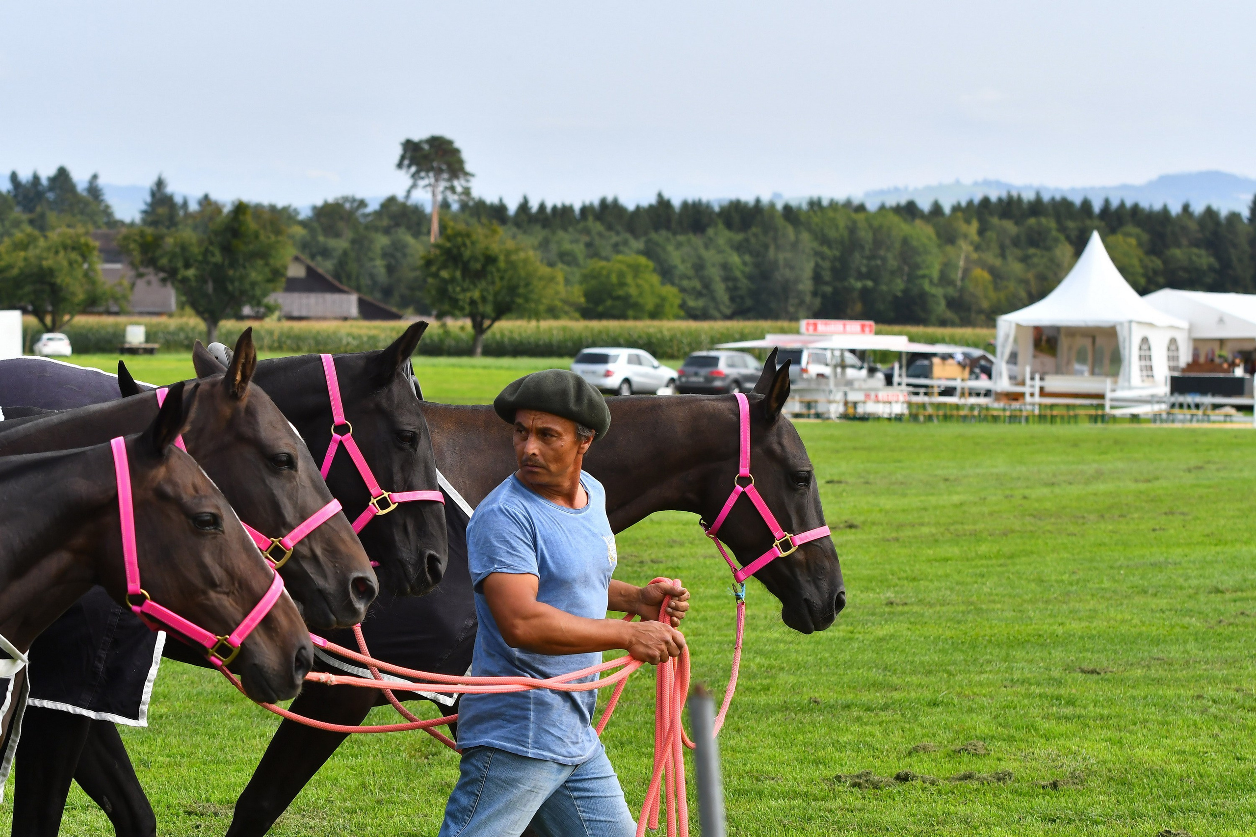 Polo art photos. Art photos of horses — ARTUR BABOEV | Photographer