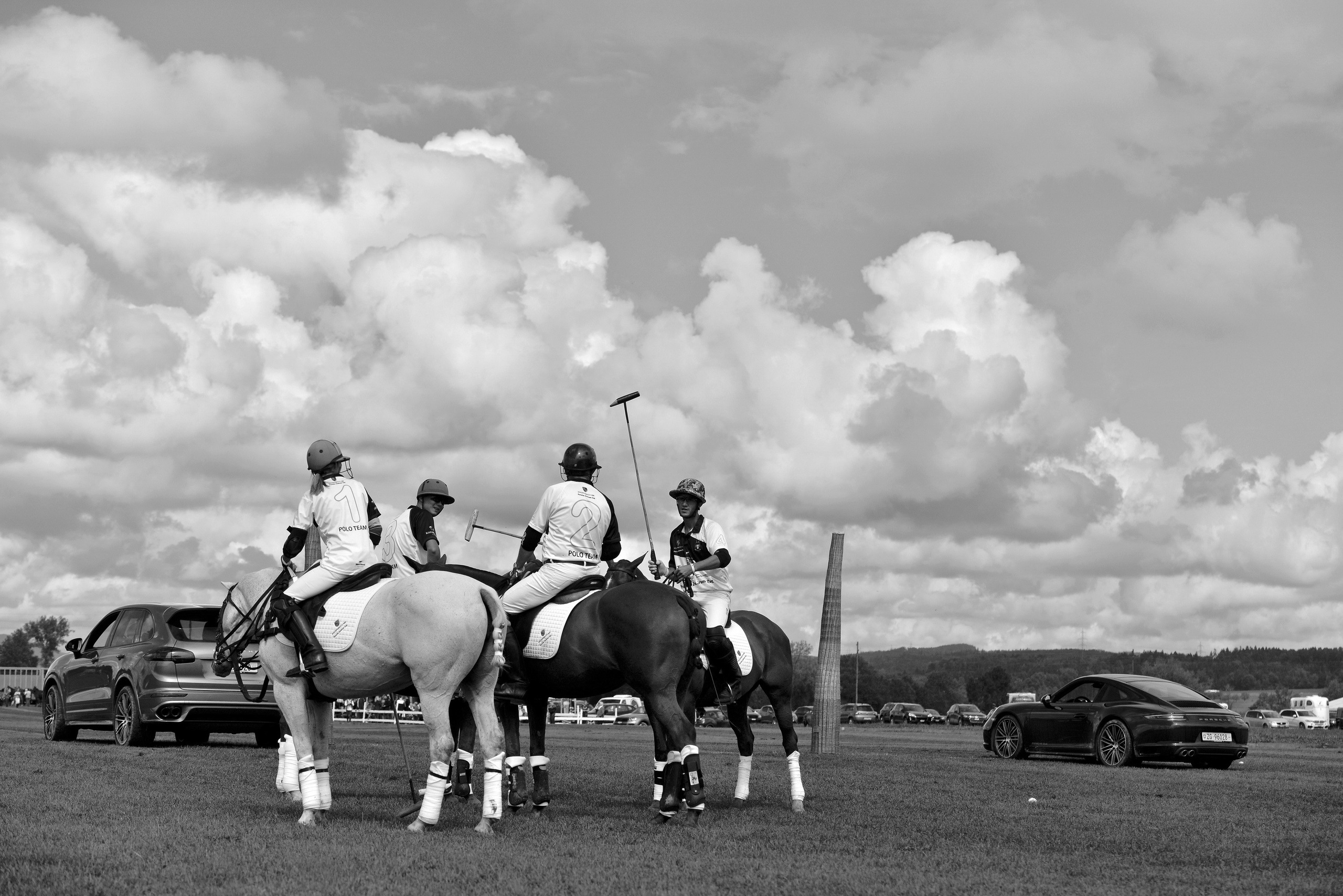 Polo art photos. Art photos of horses — ARTUR BABOEV | Photographer