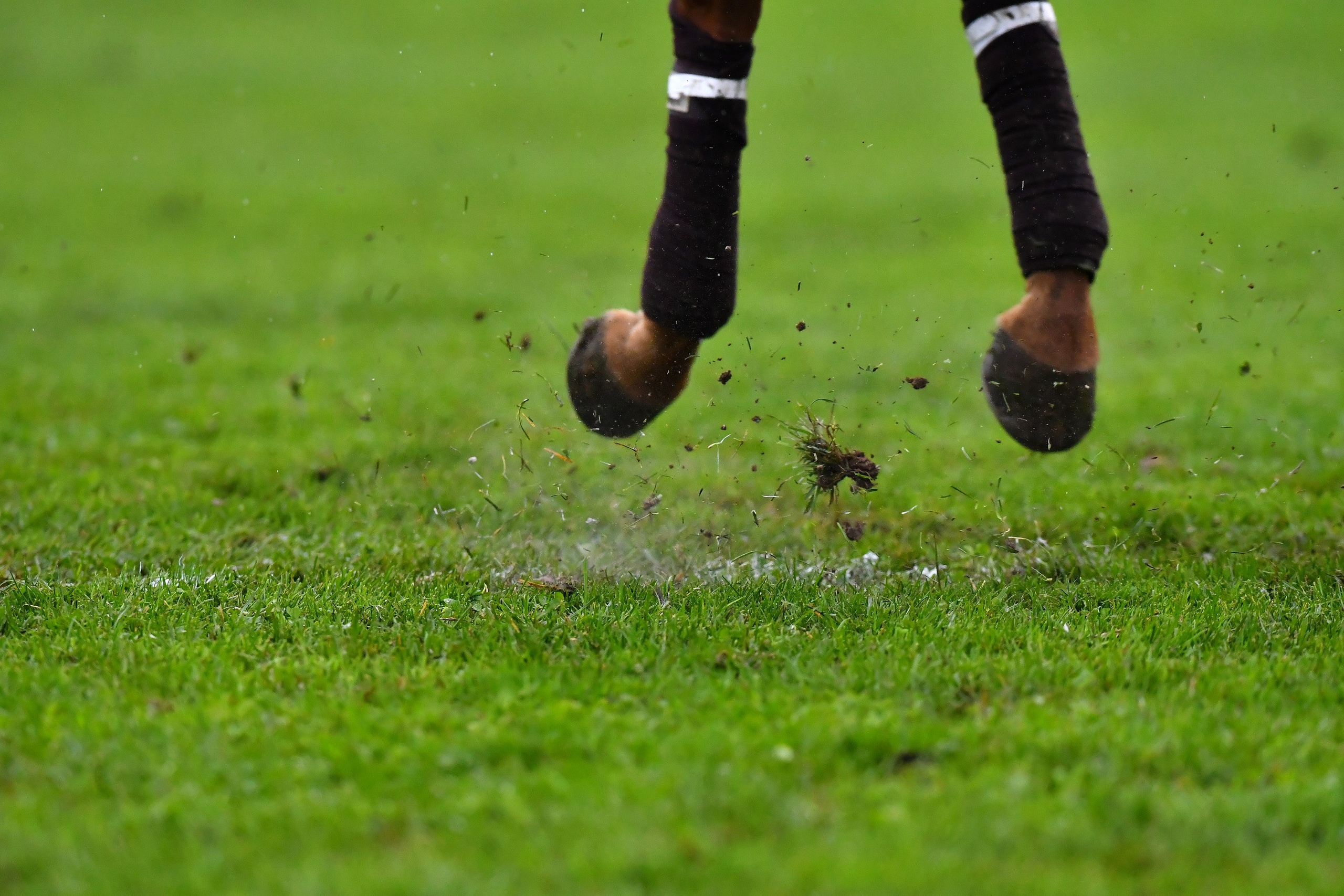 Polo art photos. Art photos of horses — ARTUR BABOEV | Photographer