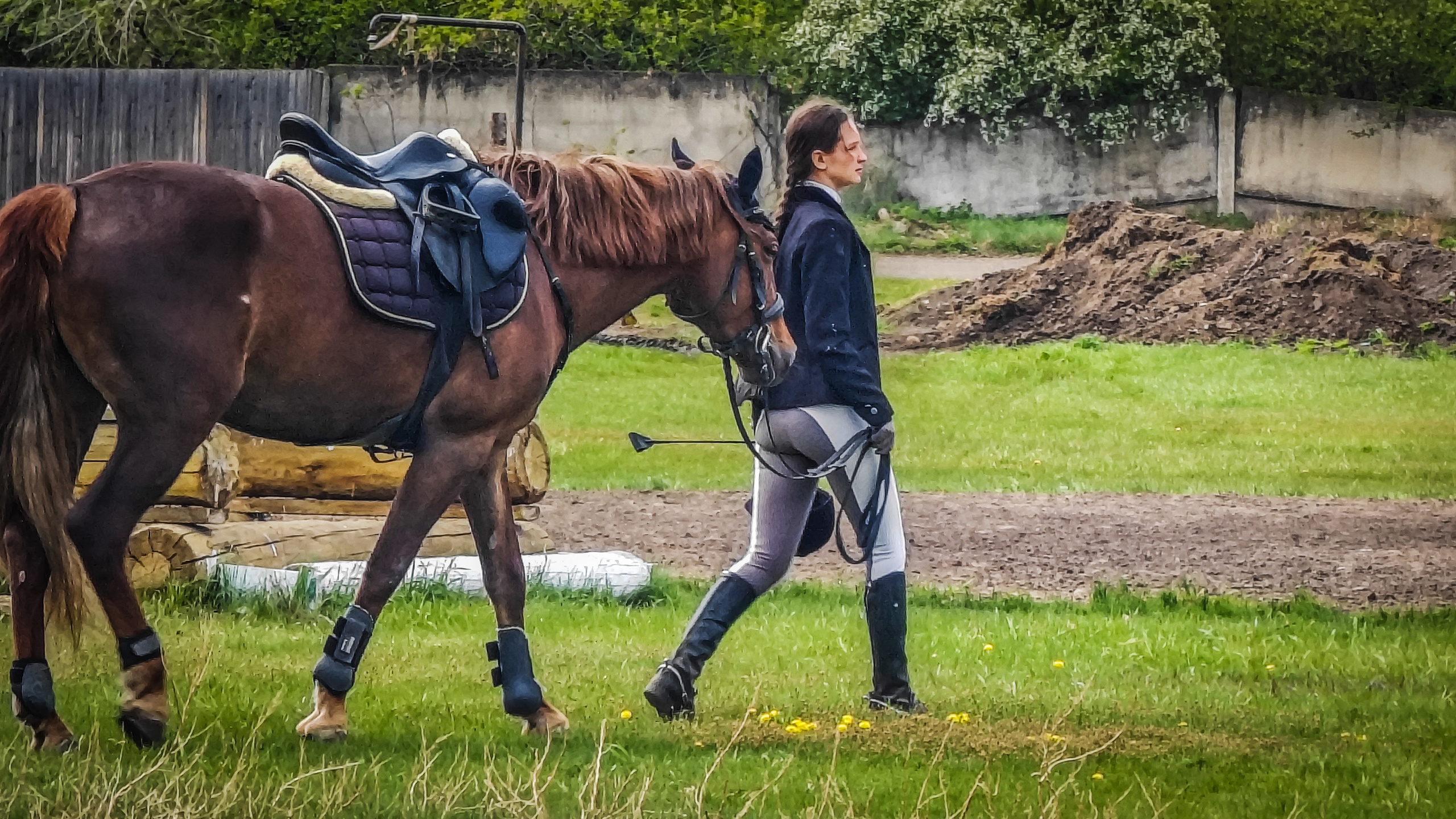Красноярский ипподром. Открытие сезона 2025. Игорь Урывский. Фотограф Красноярск