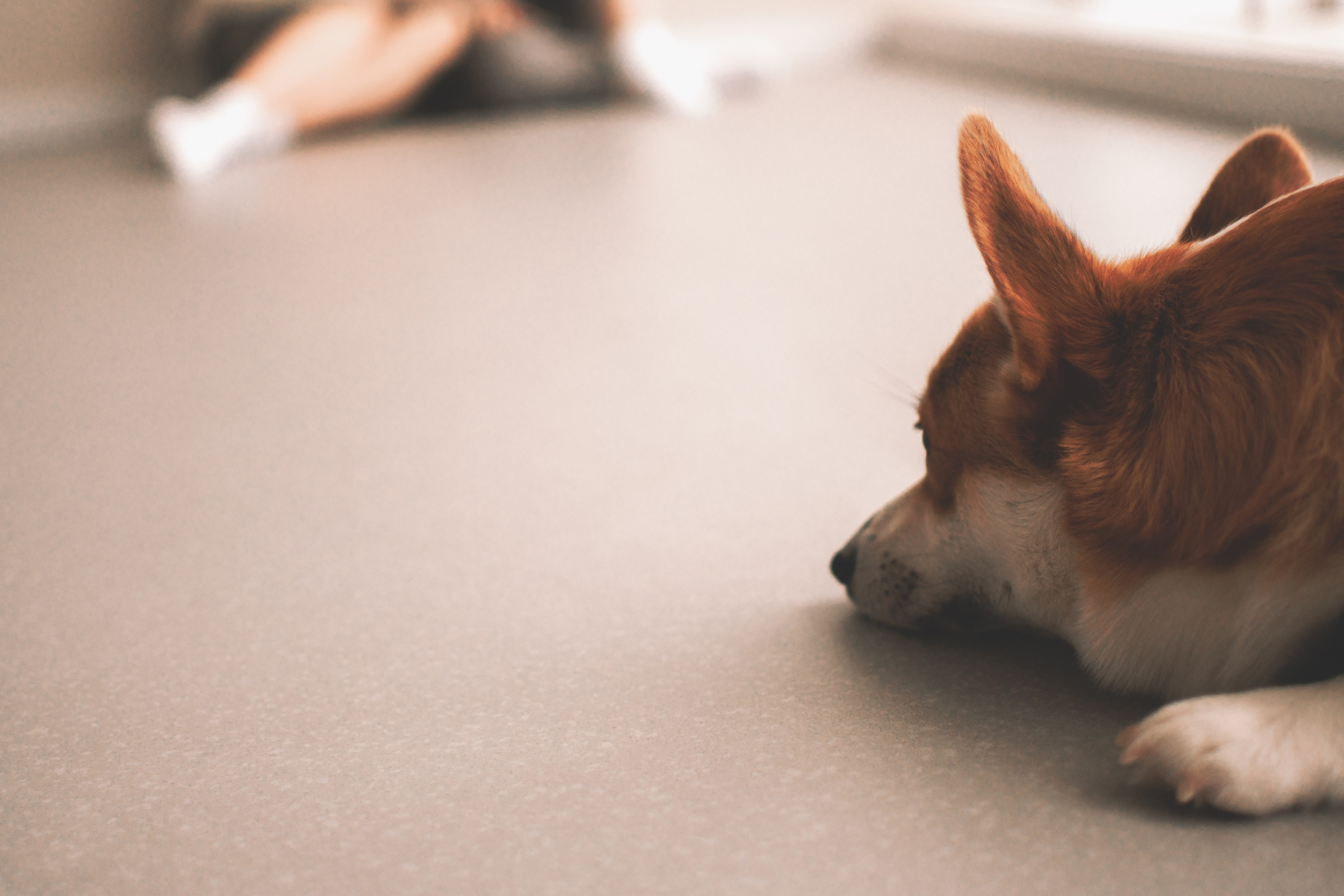 Степан и Анастасия. Семейный и свадебный фотограф Губкинский и Ставрополь