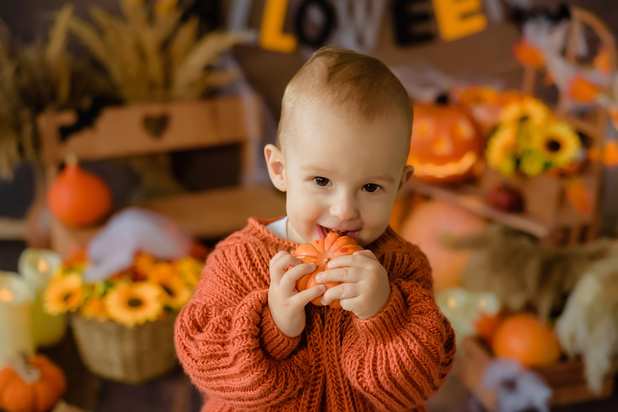 Фотопроект «Тыковки. Хэллоуин» Лев 10 месяцев. Детский Фотограф |Фотограф на годик в Брянске Ирина Романова