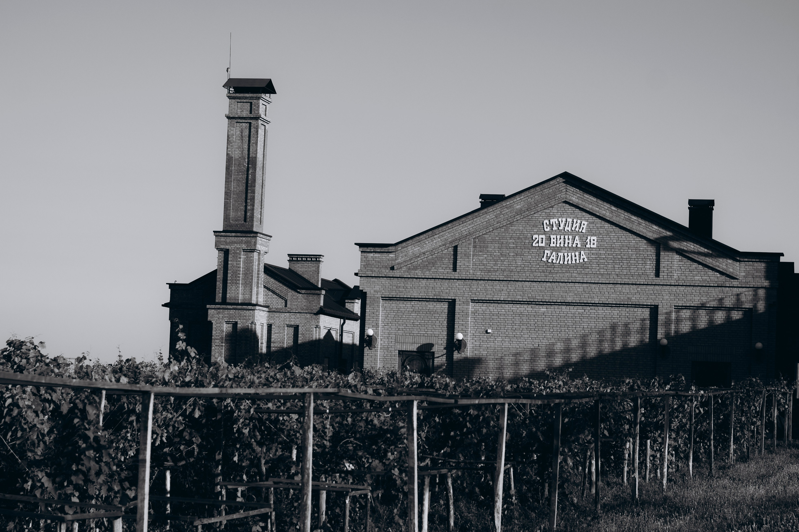 Август. Свадебный фотограф Ростов-на-Дону от 4 400 руб. |Кристина Гайсенюк