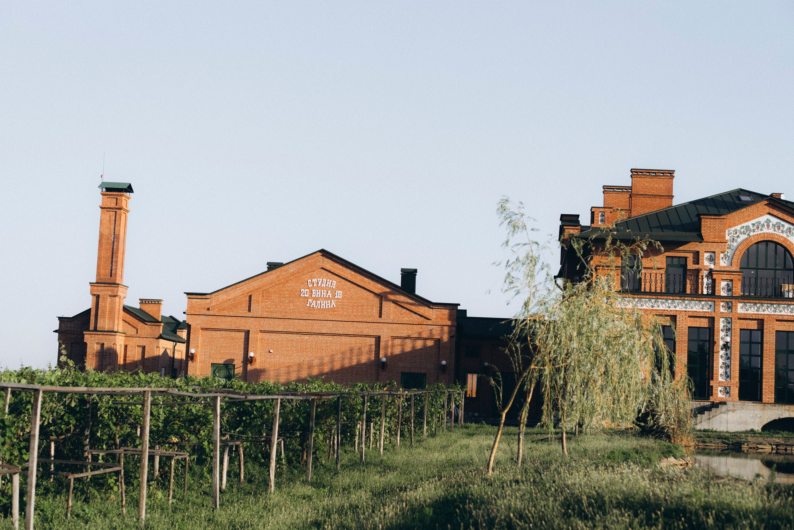 На винодельне. Свадебный фотограф Ростов-на-Дону от 4 400 руб. |Кристина Гайсенюк