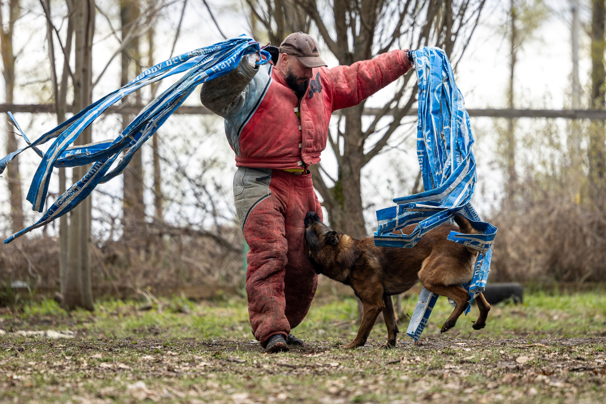 Квалификационные состязания по мондьорингу г. Вологда 11.05.24. Фотограф-анималист Анна Маринич