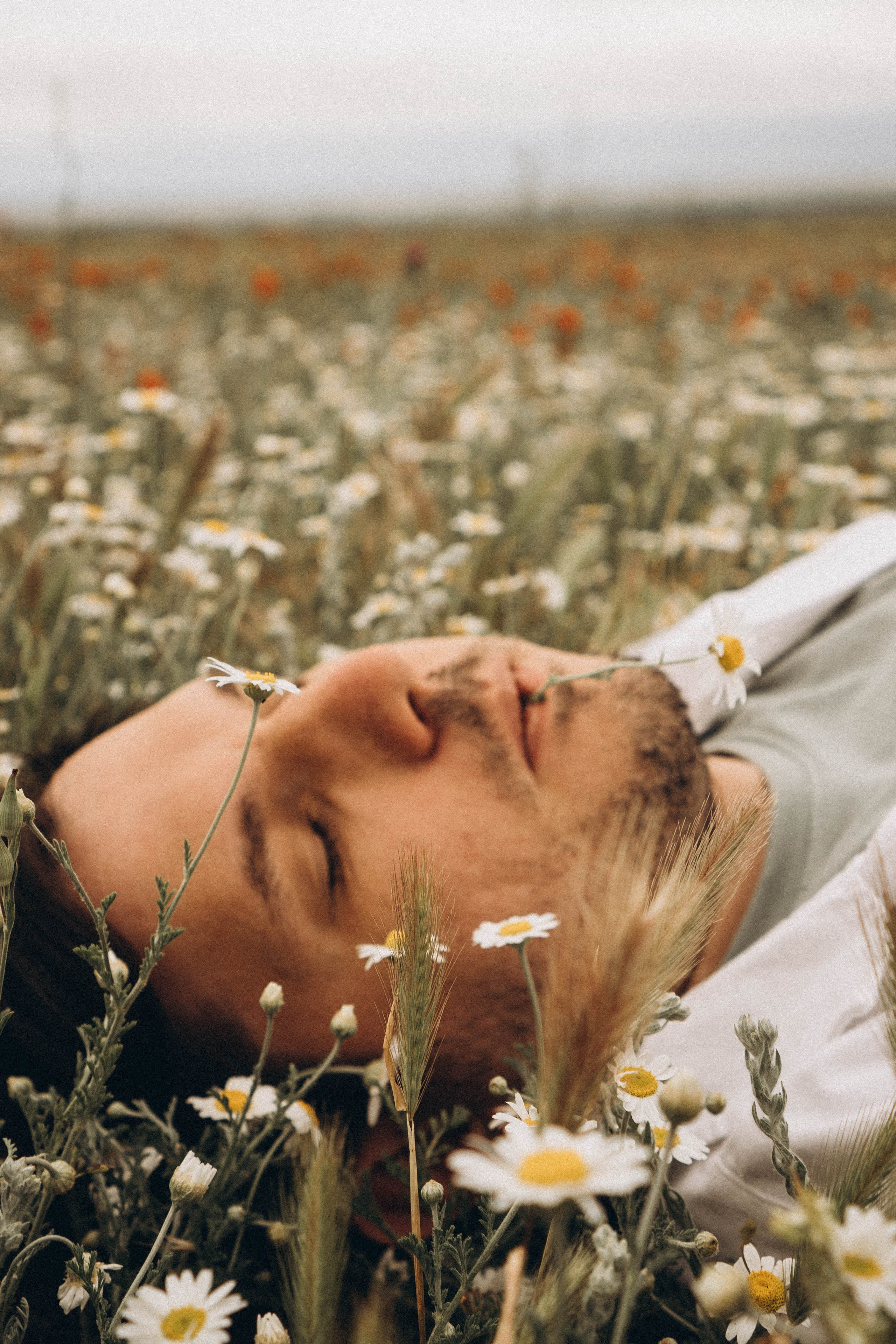 Маки. Профессиональный фотограф, Санкт-Петербург — Виктория Богомолова