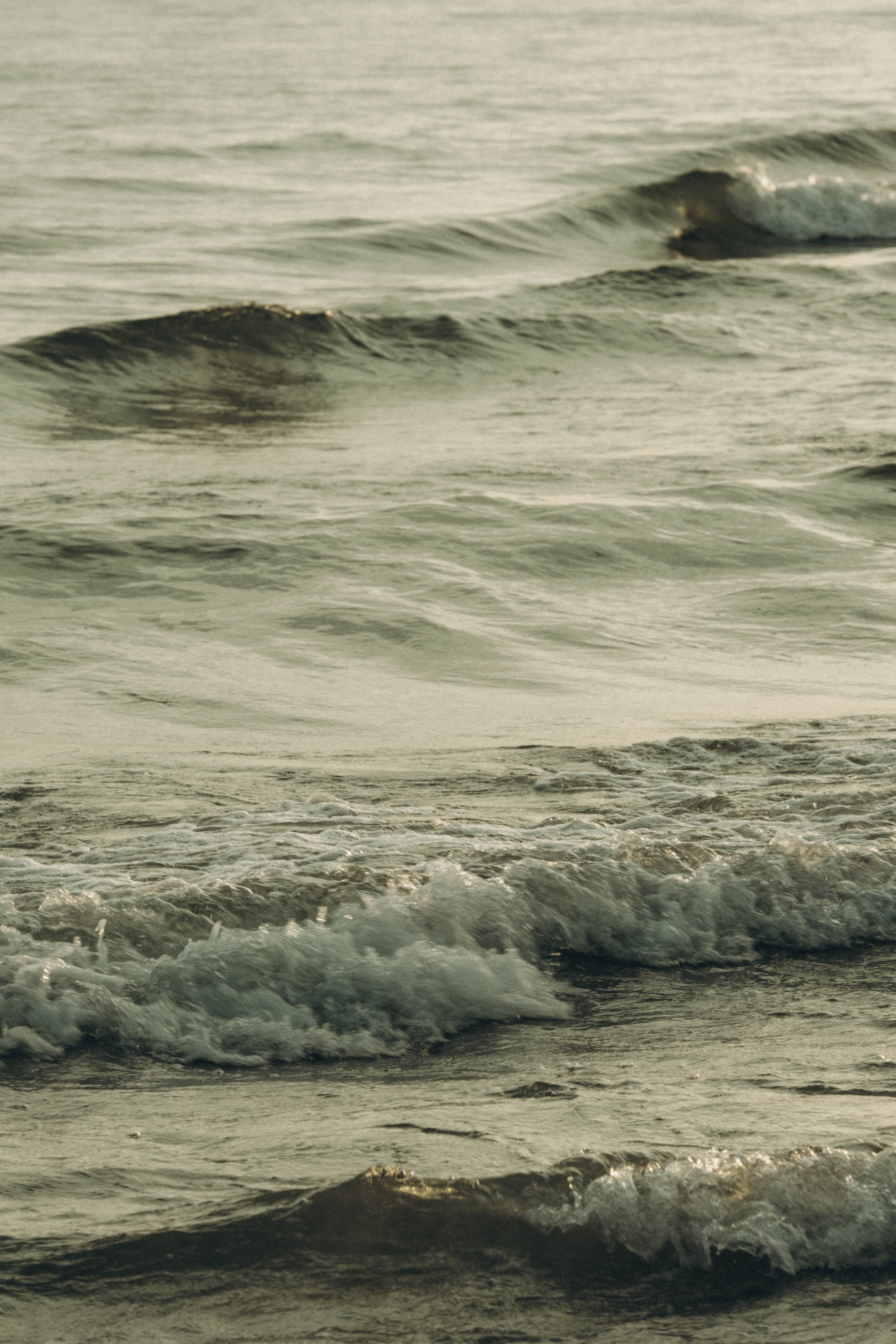 Июльский вечер на берегу черного моря. Профессиональный фотограф, Санкт-Петербург — Виктория Богомолова