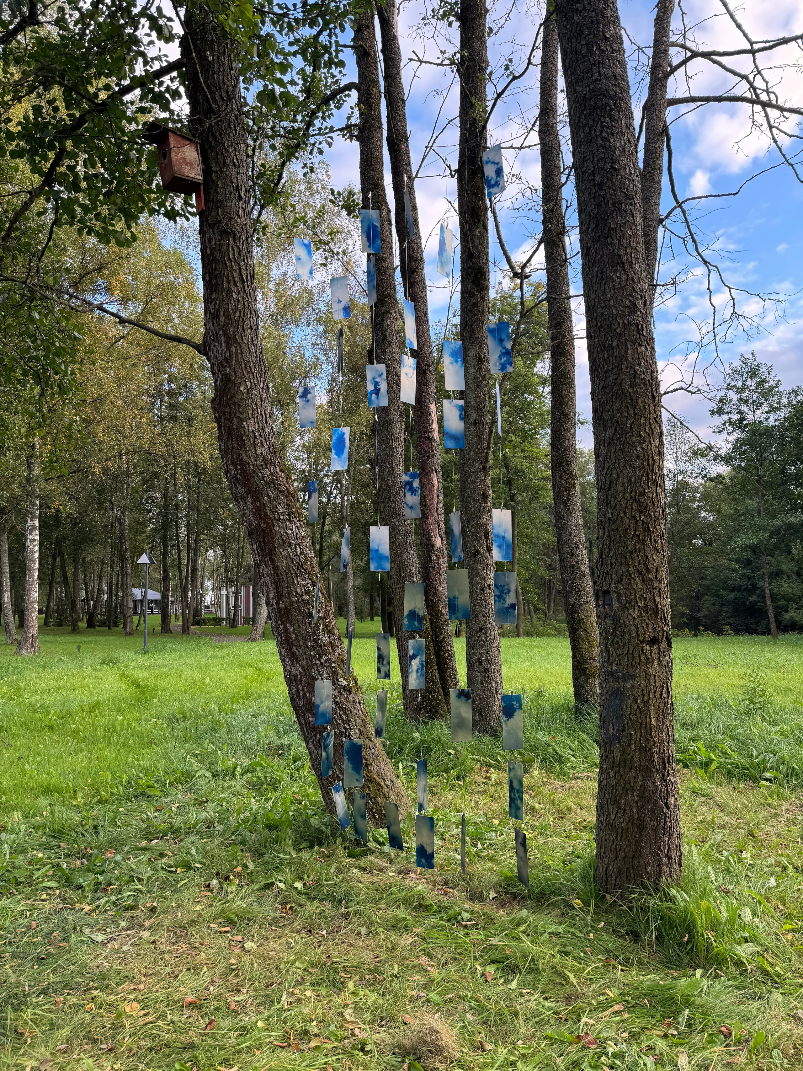 «Какой большой ветер», групповая выставка, 28.08-21.09.2025, парк-отель «Белые Аллеи». Лера Круглова