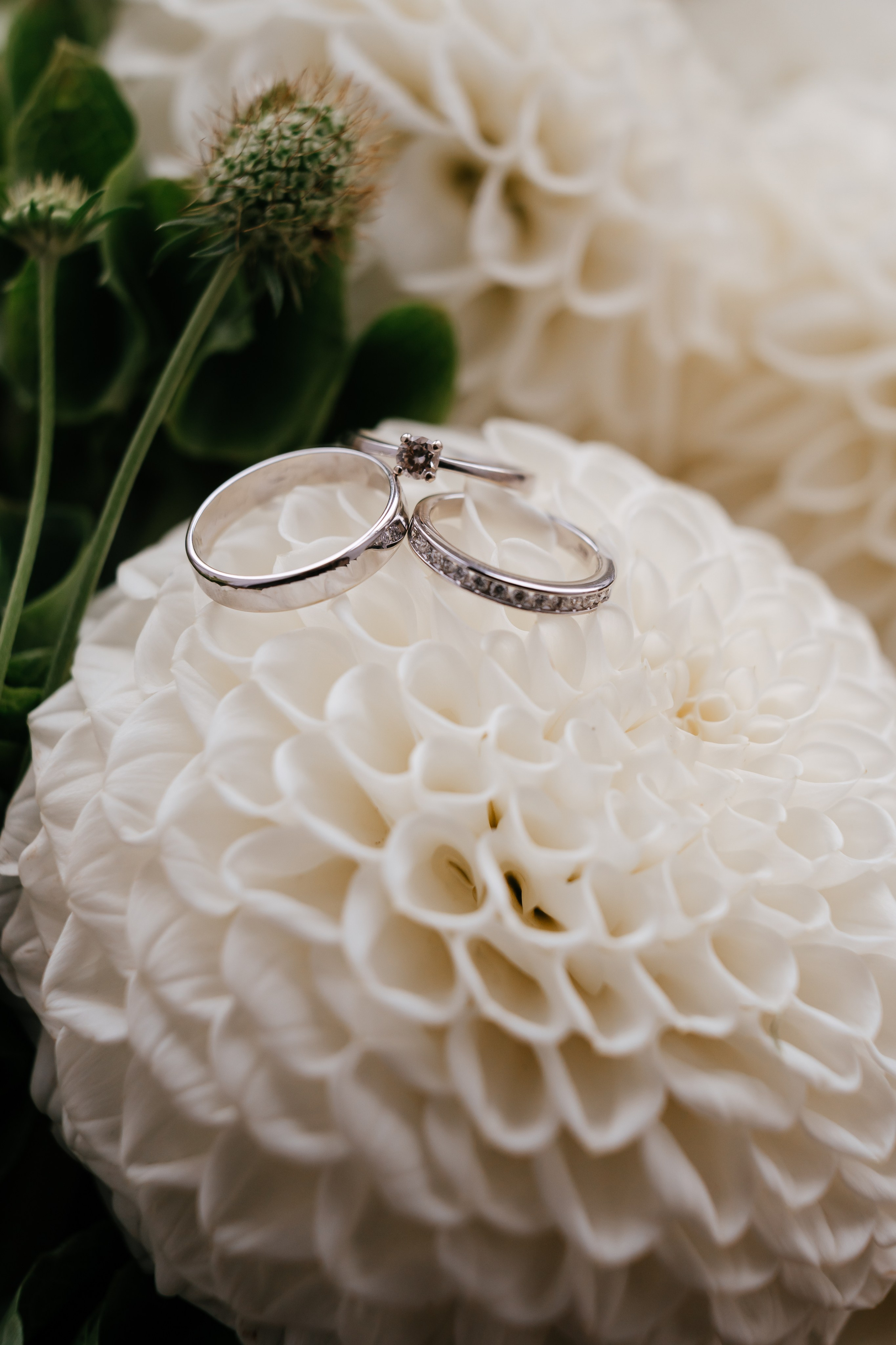 Ярослав и Анастасия. Семейный и свадебный фотограф в Санкт-Петербурге и Москве