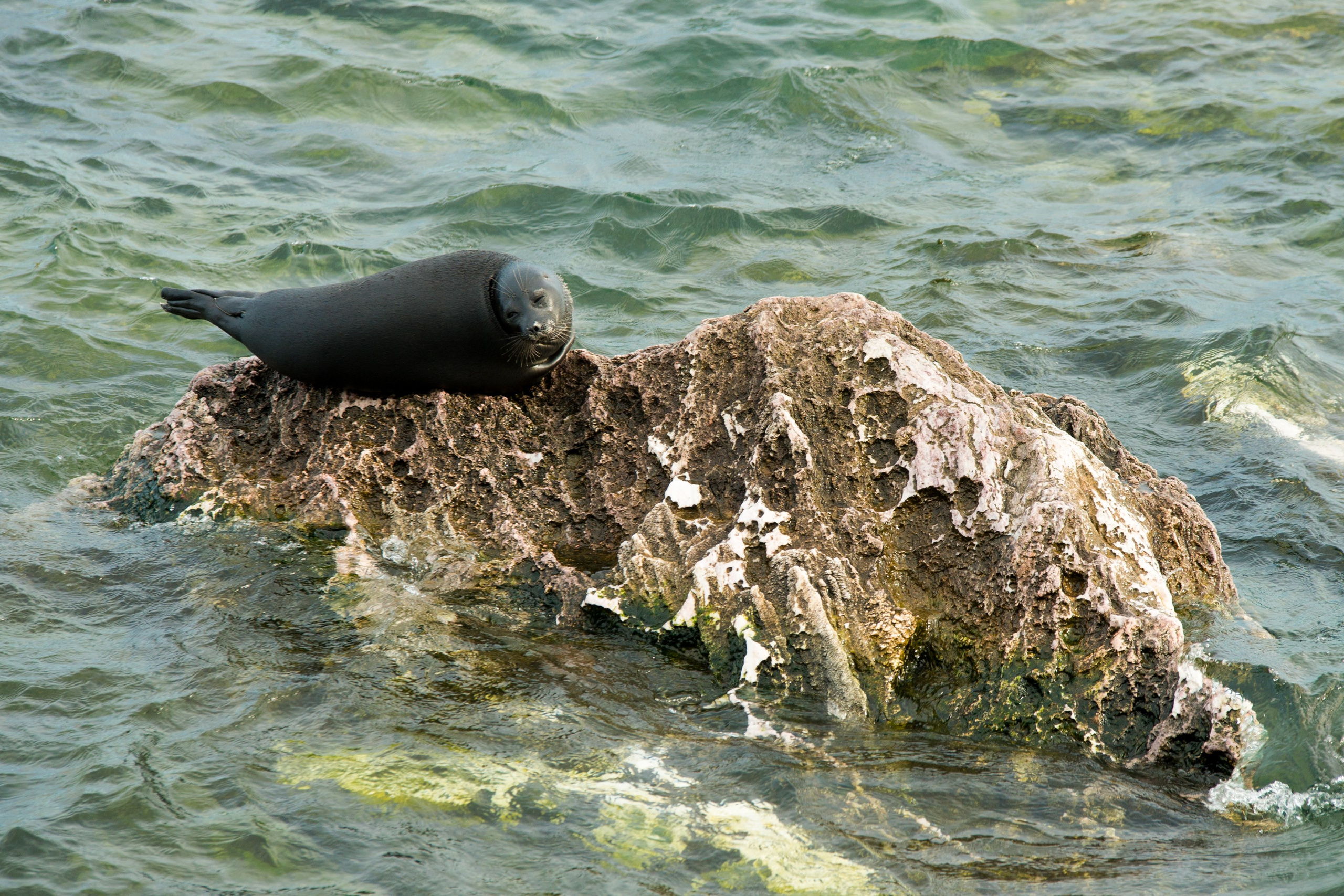 Фотографии озера Байкал. Петр Ступень. Свадебное, семейное фото и видео. Москва. Краснодар