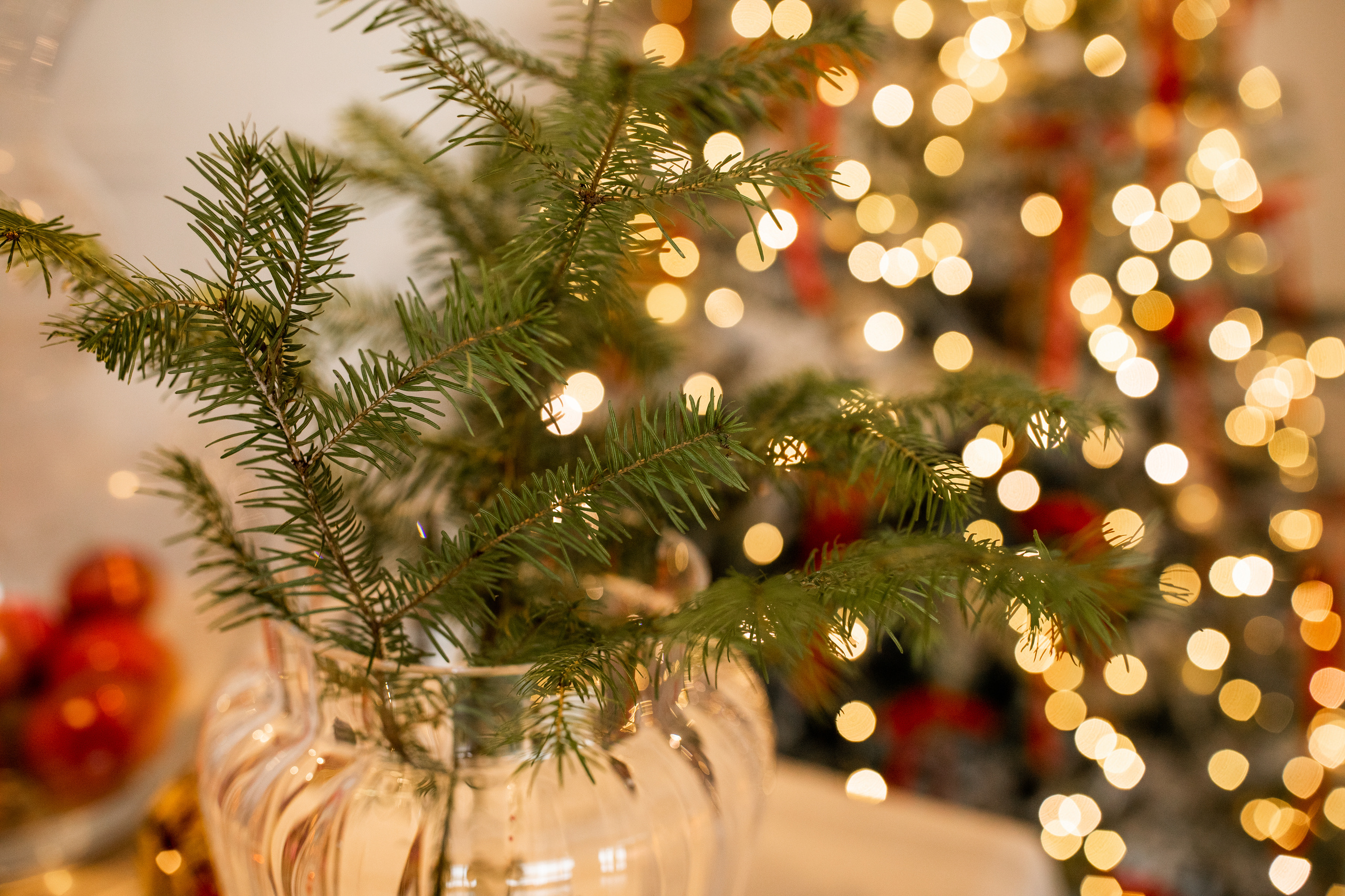 Когда новогоднее настроение…. Детский и семейный фотограф в Красноярске Елена Коровкина