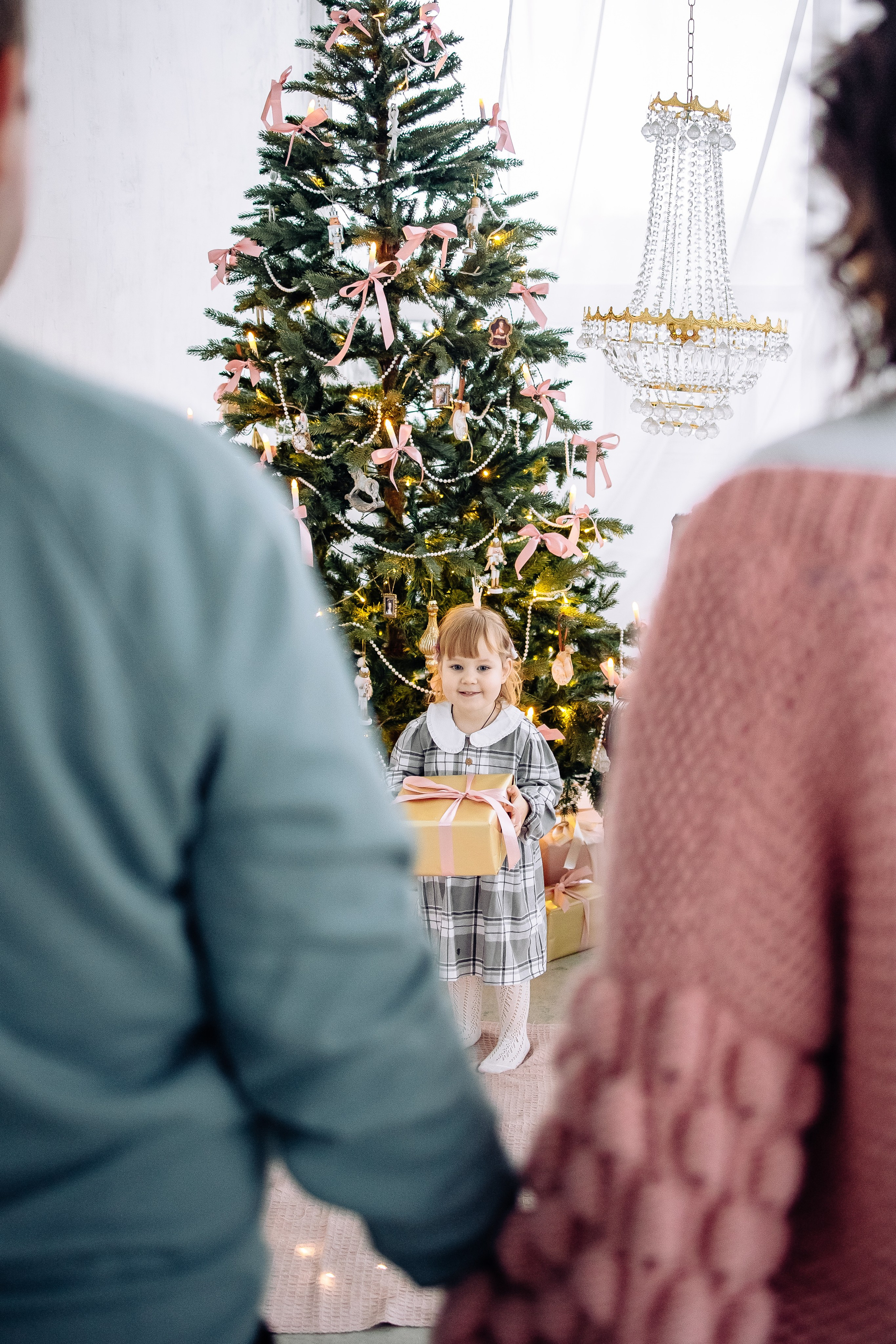 Семья в студии. Фотограф Алена Малинина в Санкт-Петербурге Пушкин Питер СПб Семейные и детские фотосессии