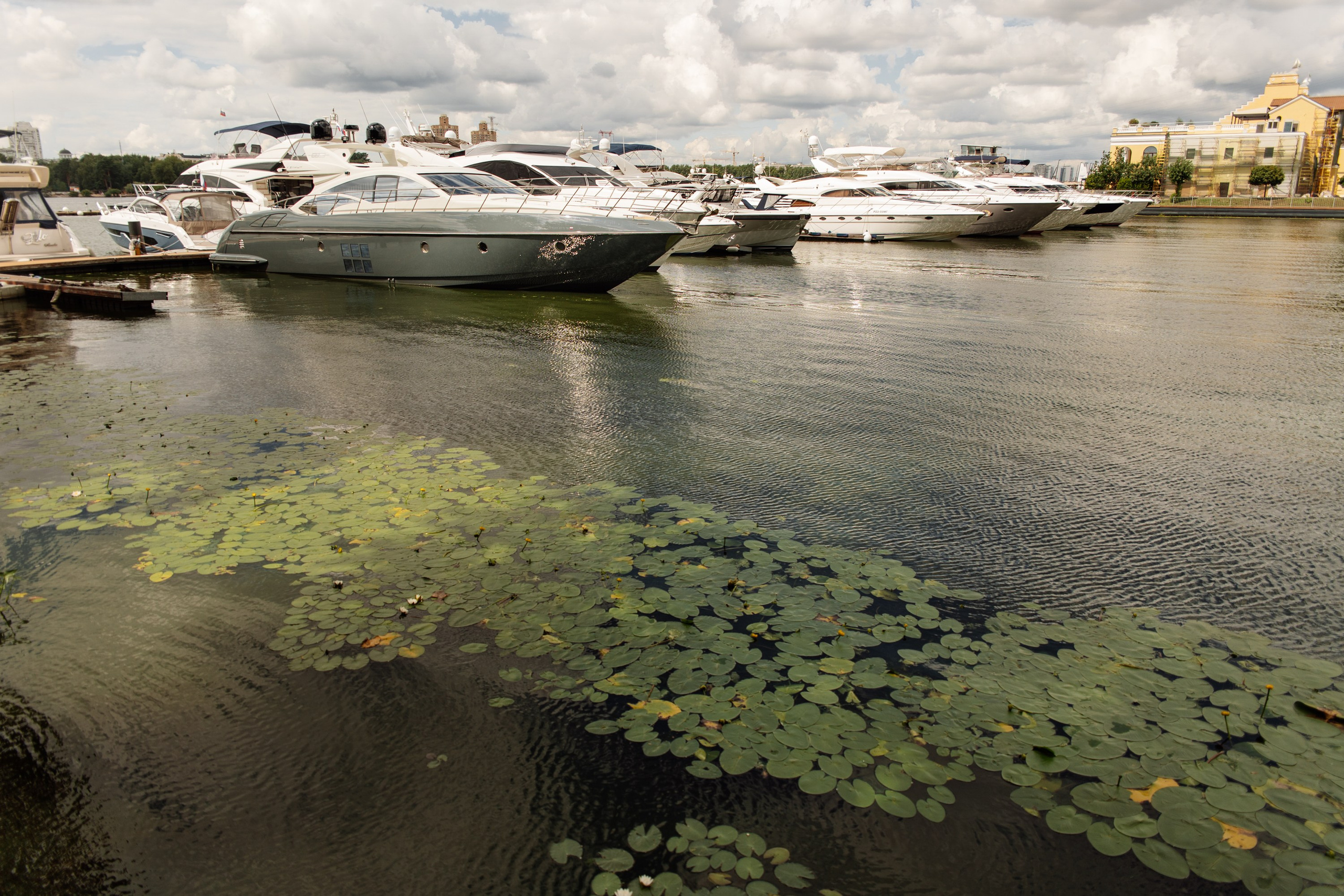 Яхт Клуб PROyachting. Регата. Репортажный фотограф. Москва. Алина Ланская