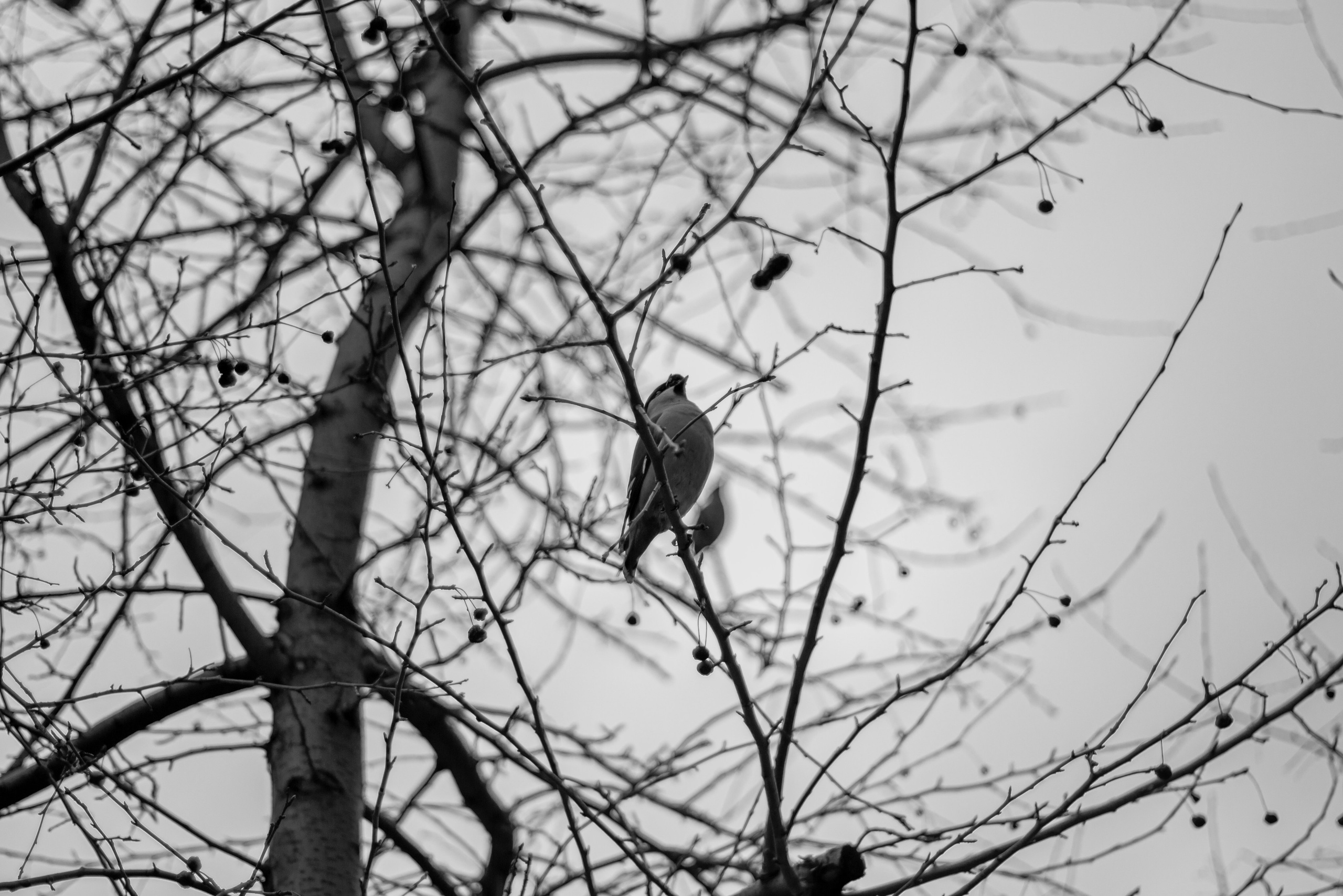 24.04.2024 | Красноярск. Kuznetsov | Фотограф в Красноярске