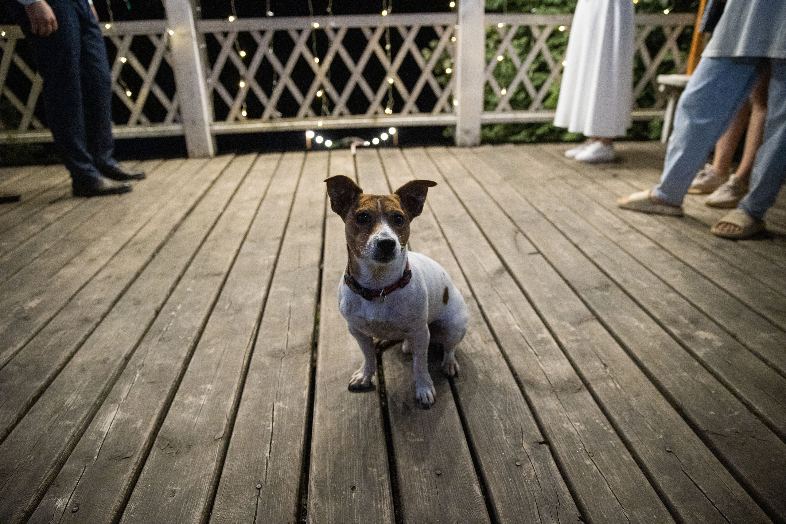 A&A. Свадебный и репортажный фотограф в Перми