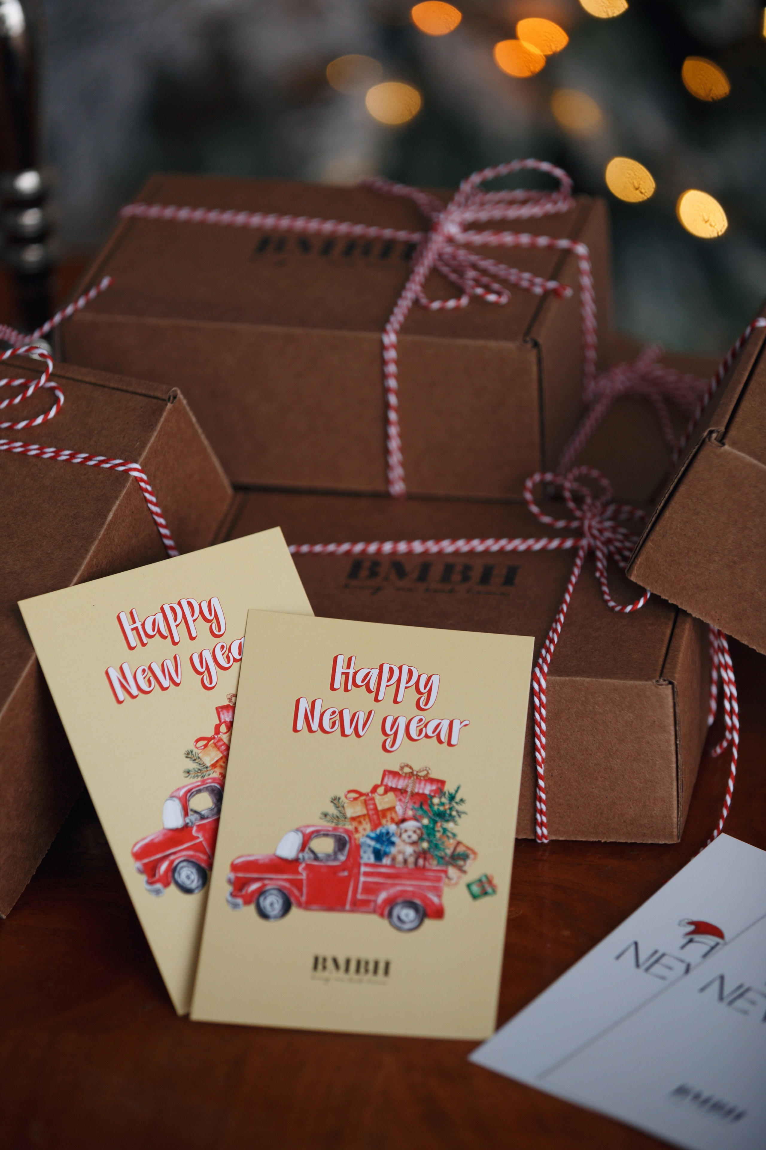 Bmbh лежанки и адресники. Фотограф анималист Кристина Карпова, Москва