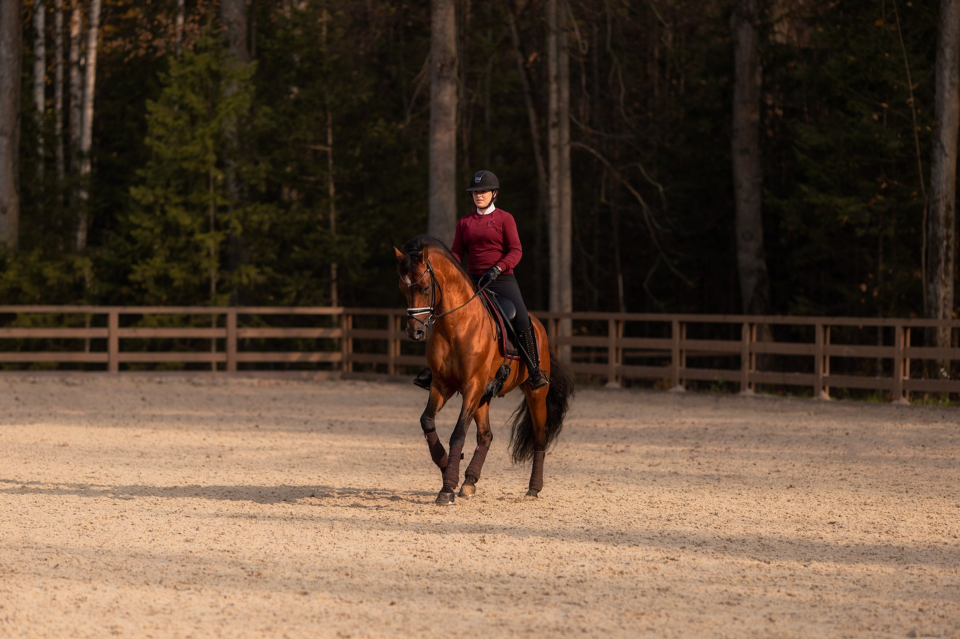 Фотосессии с лошадьми. Фотосессии с лошадьми в Москве от Конный фотографа Кутейниковой Светланы