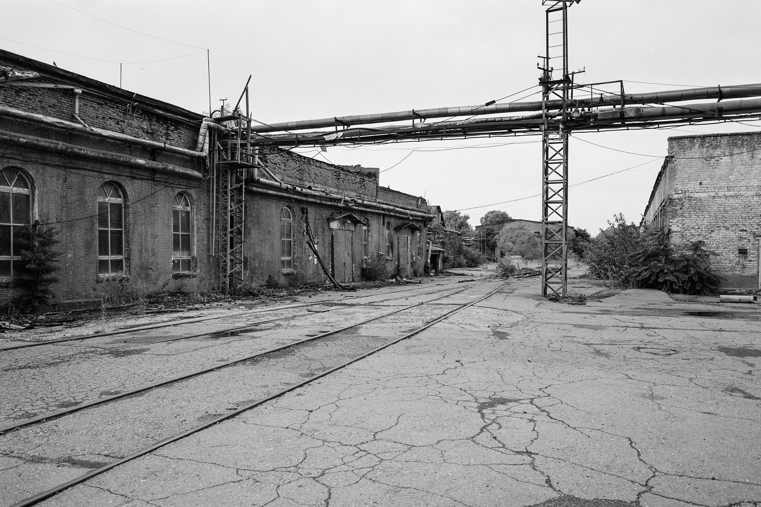 Электроцинк. Igor Volkov