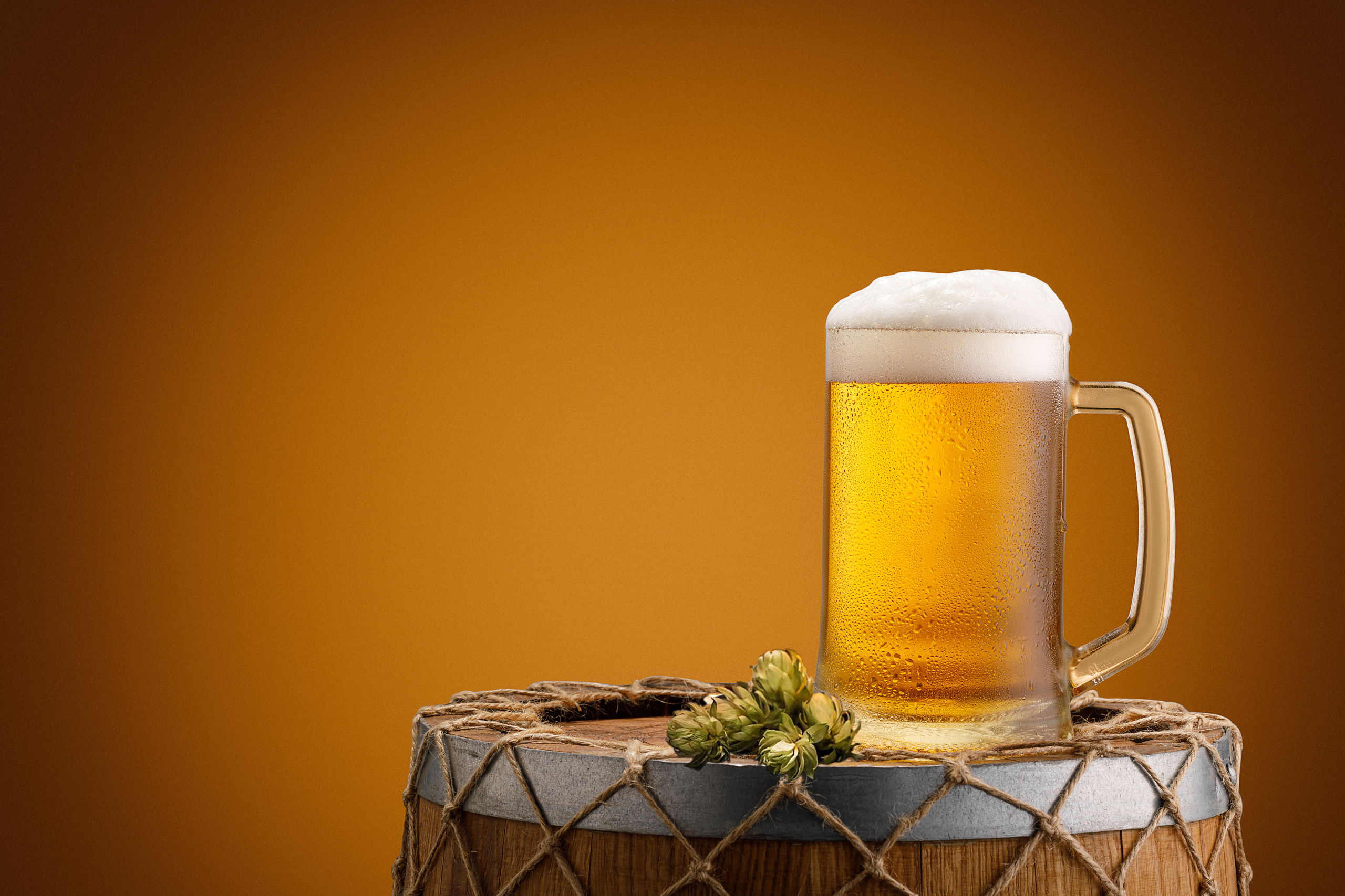 ФУД-ФОТОГРАФИЯ. TM pro studio