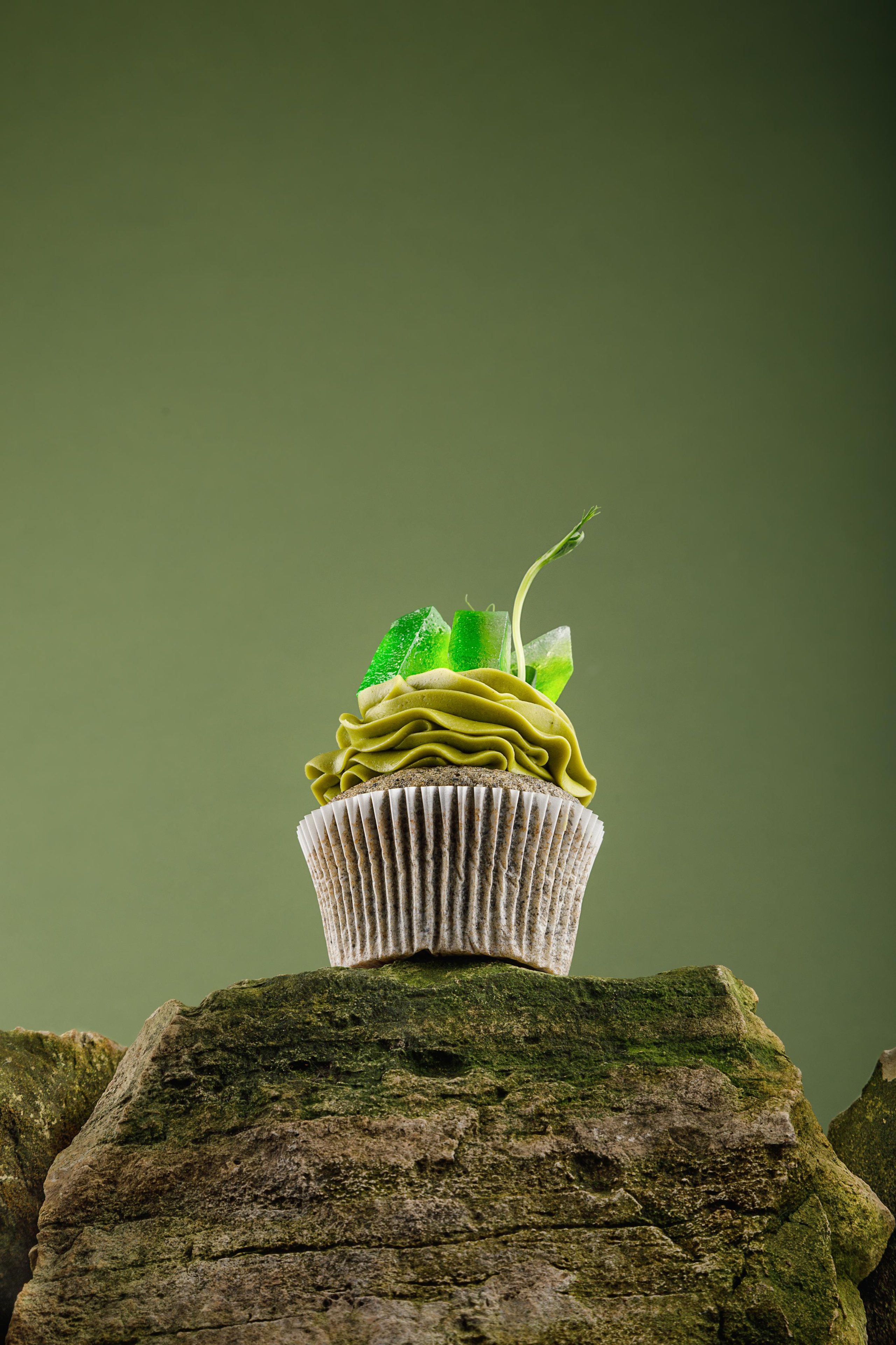 ФУД-ФОТОГРАФИЯ. TM pro studio