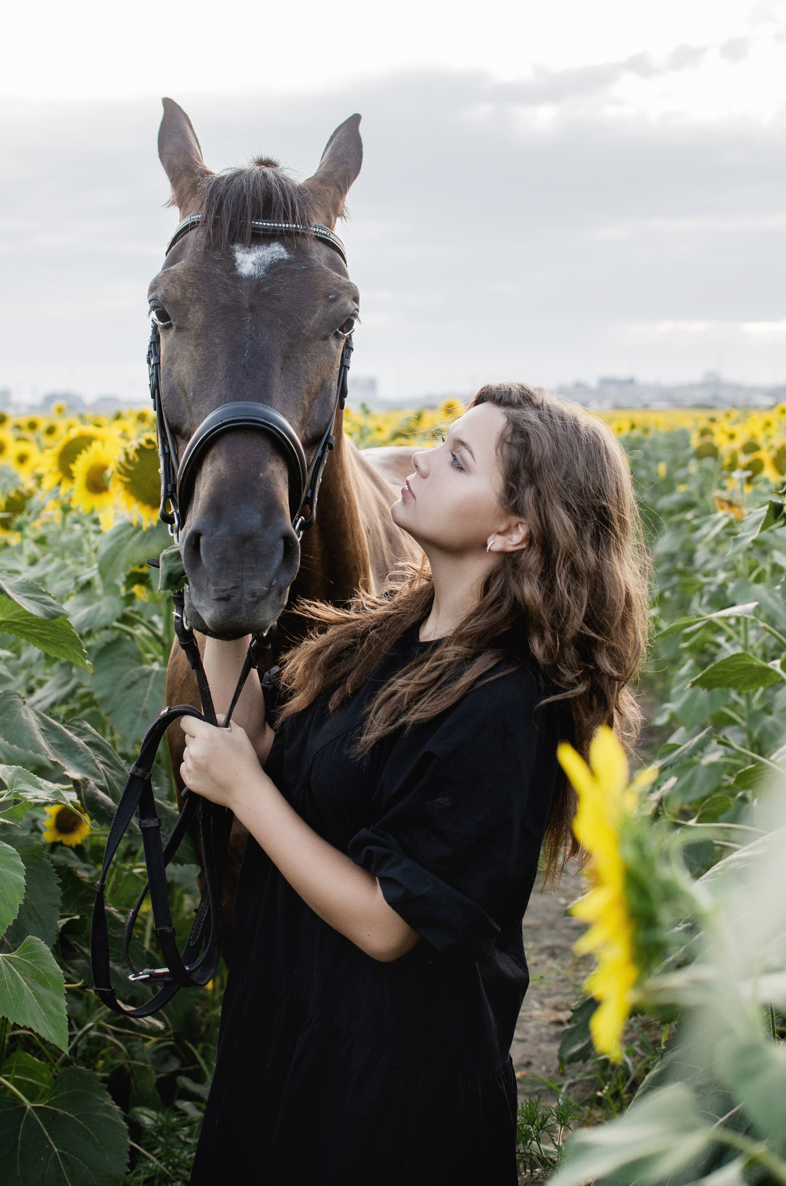 Выездная фотосессия цена