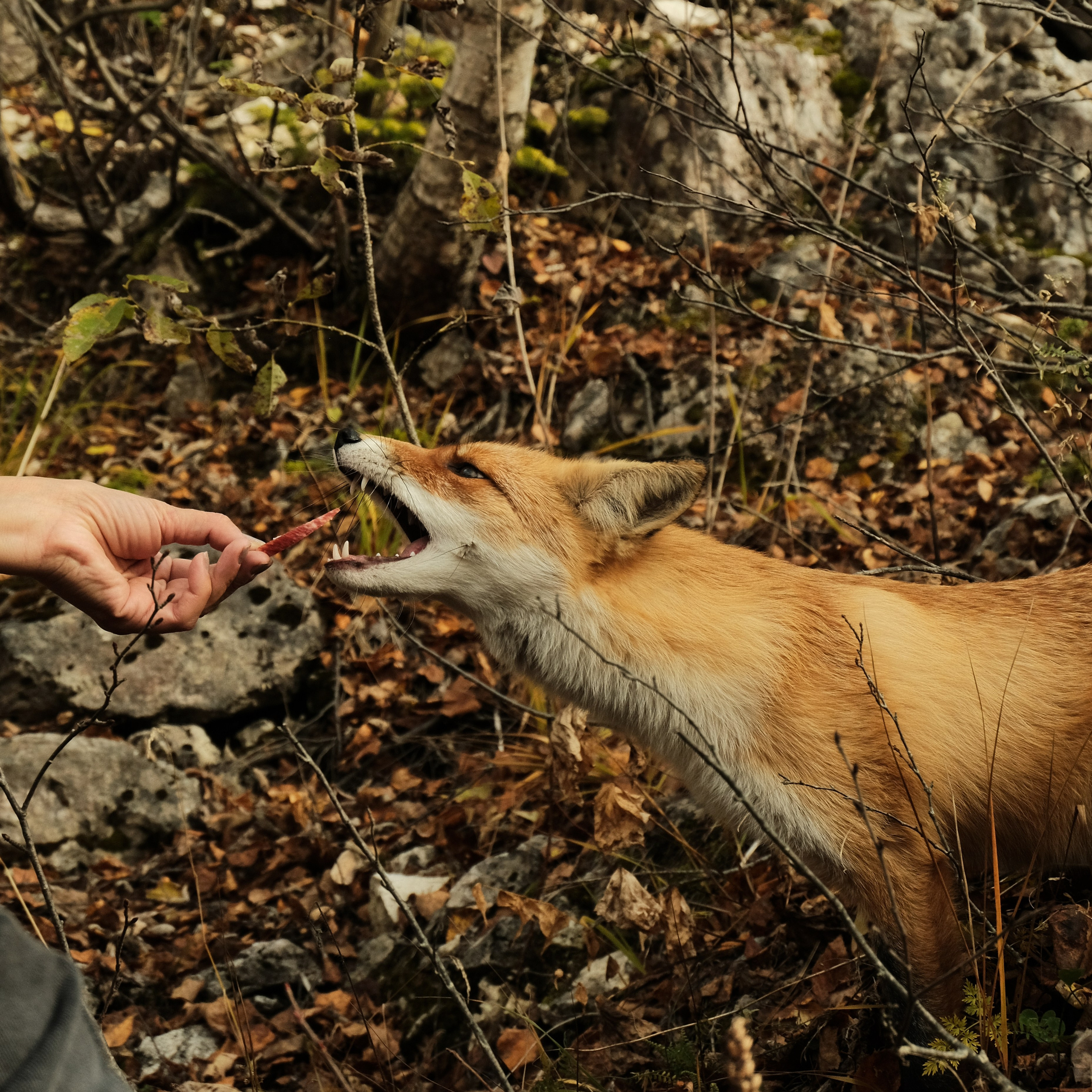 Arkhyz. Creative travel photographer — Berg Daria