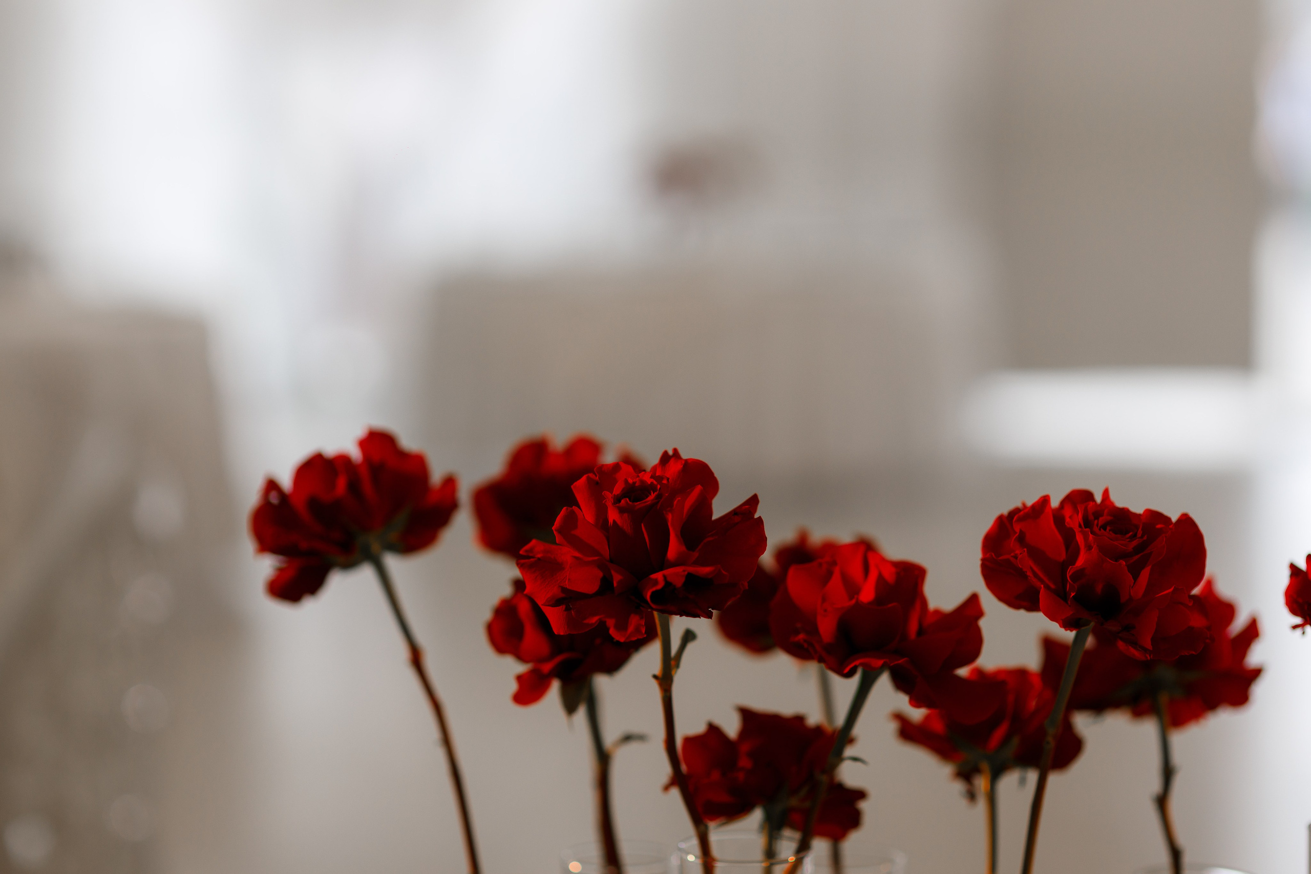 Анастасия и Павел. Фотограф Дарья Норкина