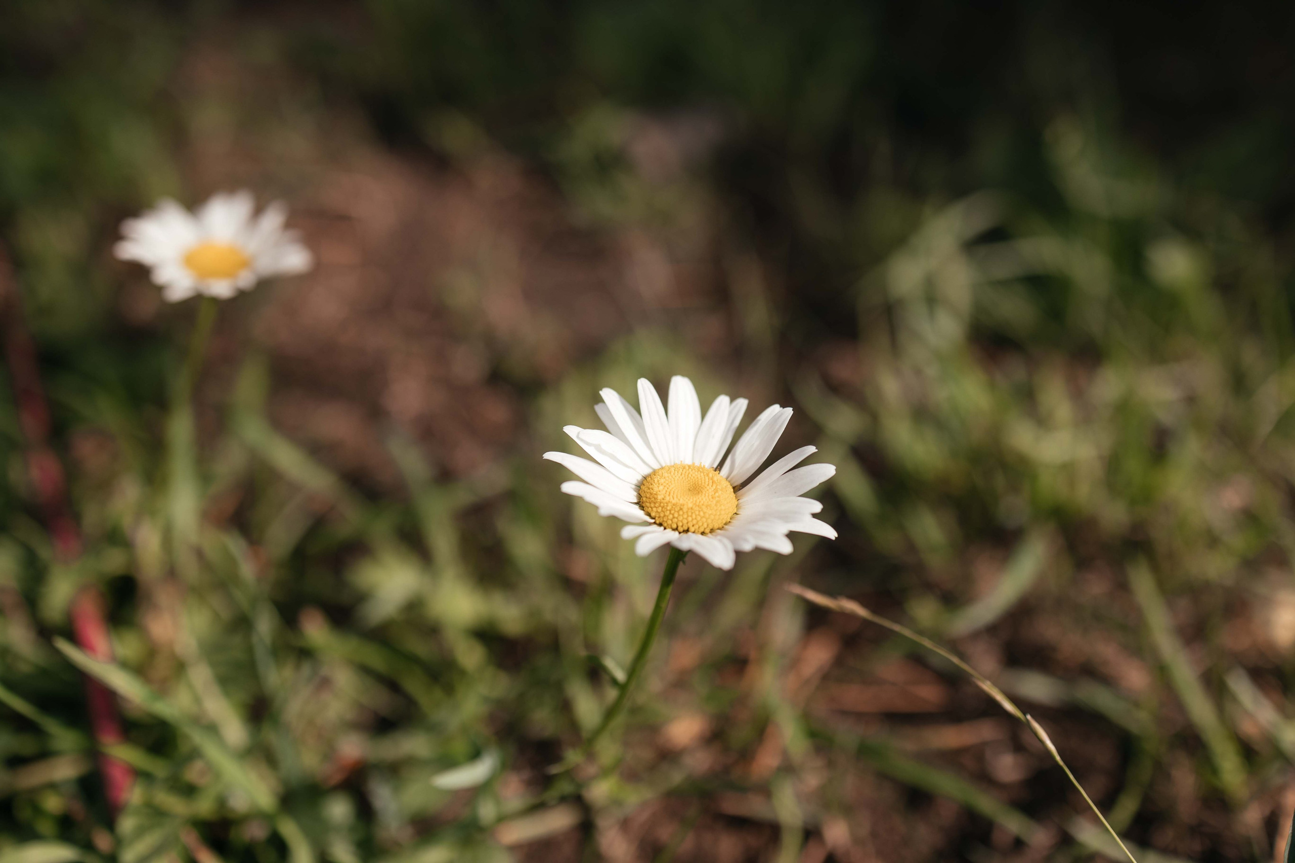 Женя и Вика. Фотограф Крохин Олег