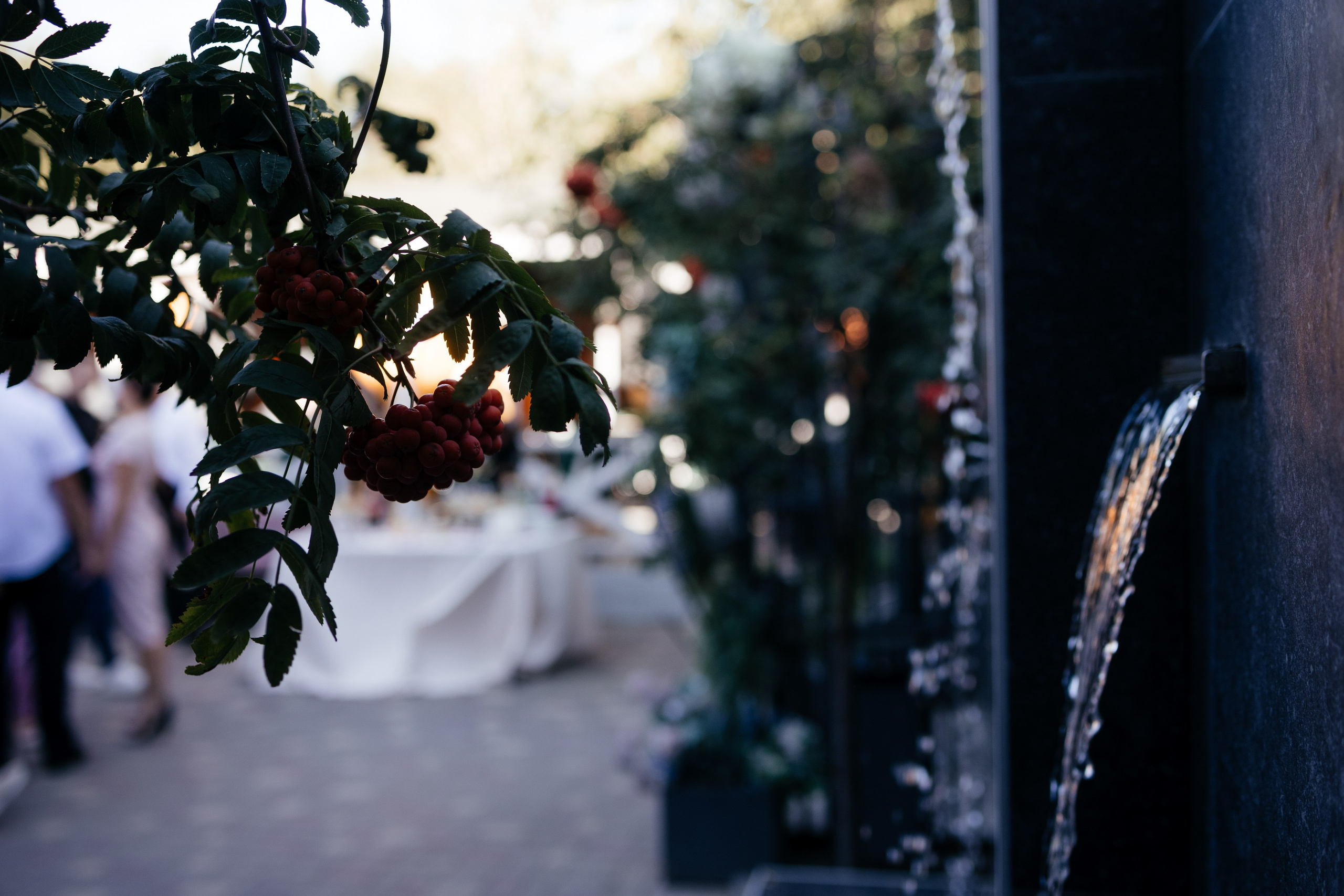 Артем и Алина. Фотограф Крохин Олег