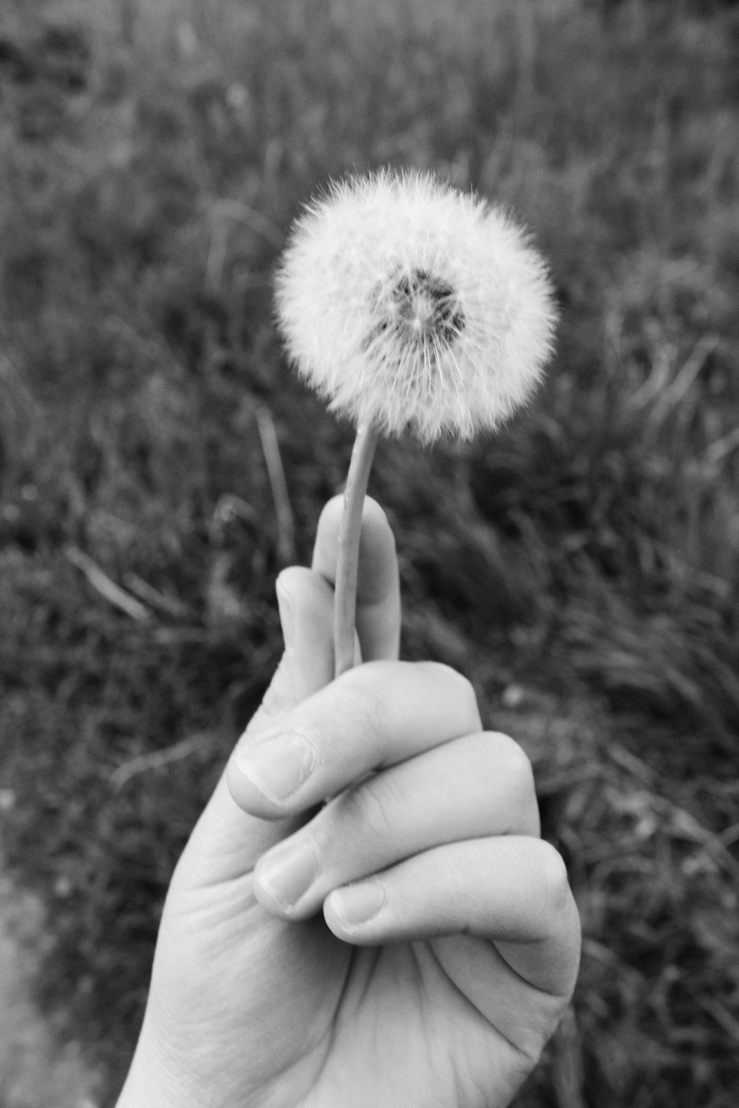 Мои первые работы. Фотограф из Москвы — DASHA NOVA | Авторская фотография в разных жанрах