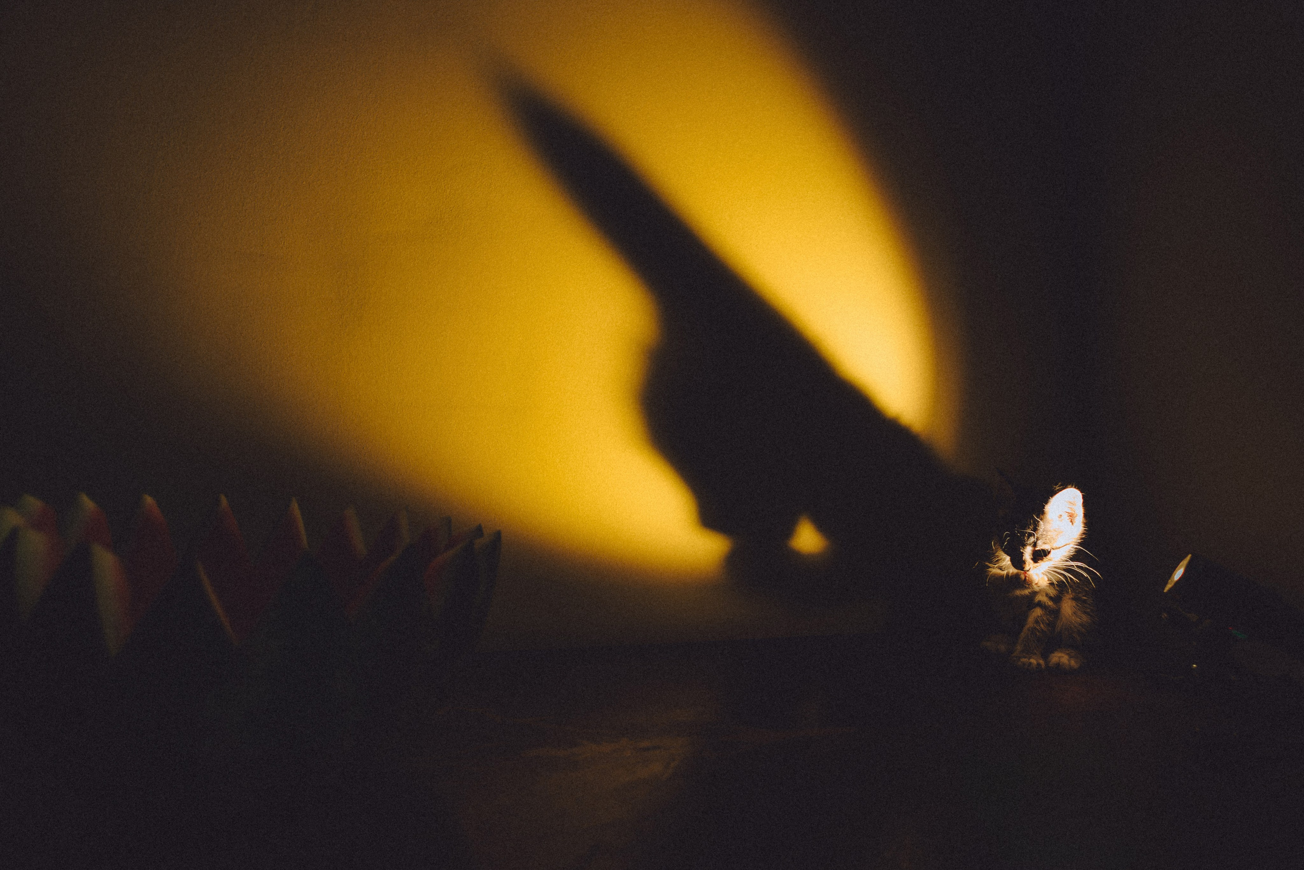 Сирена и арбуз