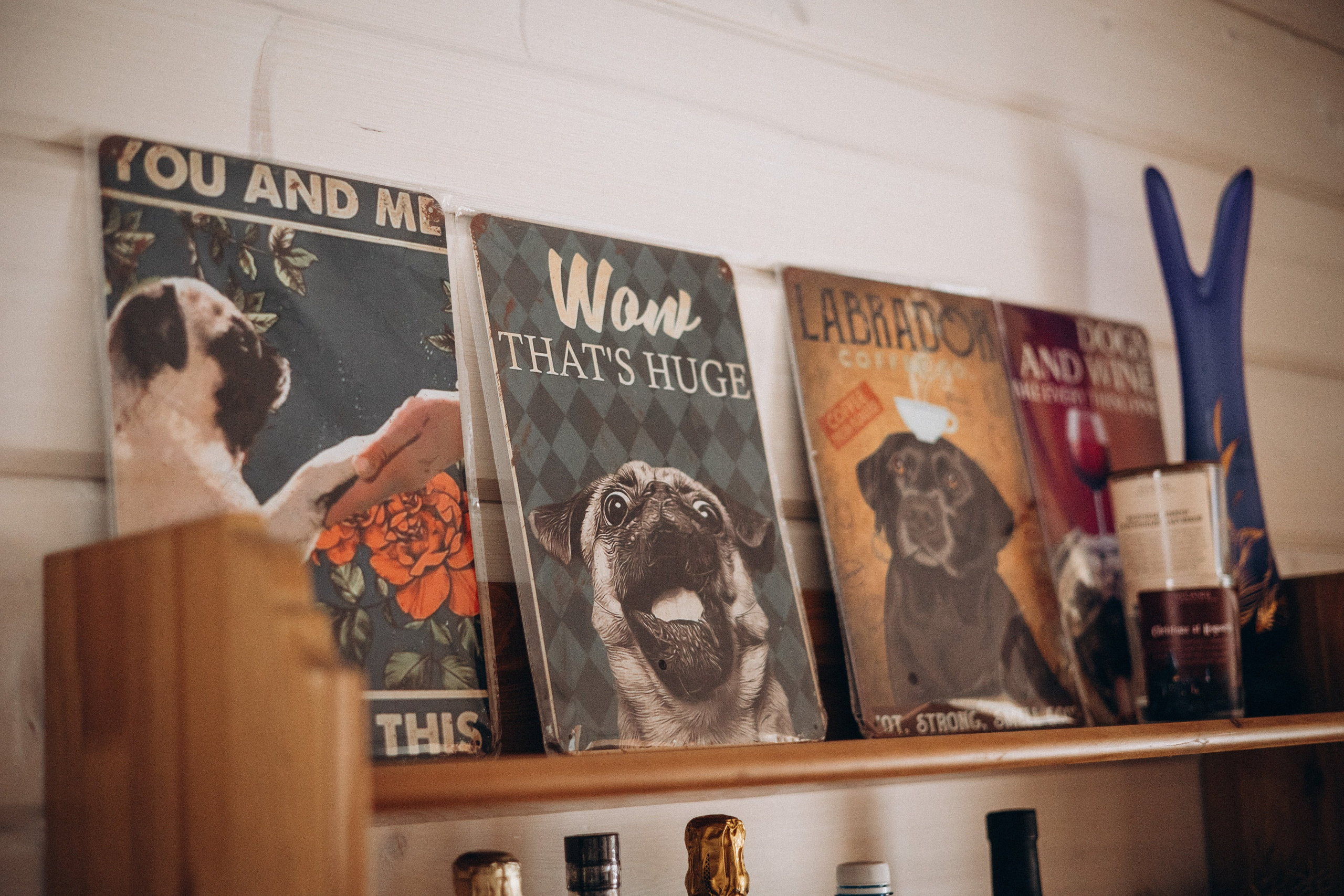 Семейная для Ксюши. Фотограф — Анималист | Санкт-Петербург