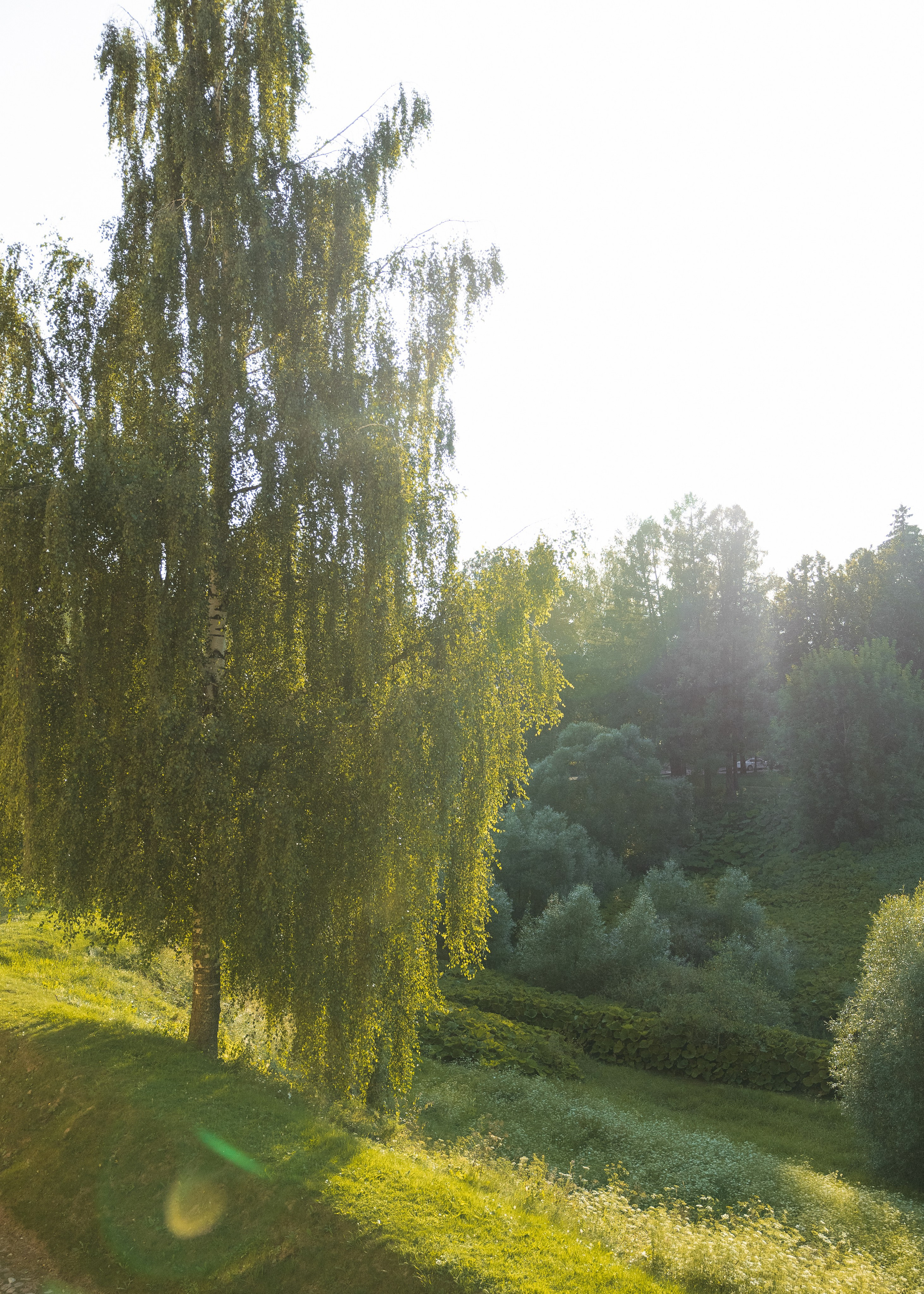 Artem & Anastasia • Castle Bip. Anna Fridenberg | wedding photographer