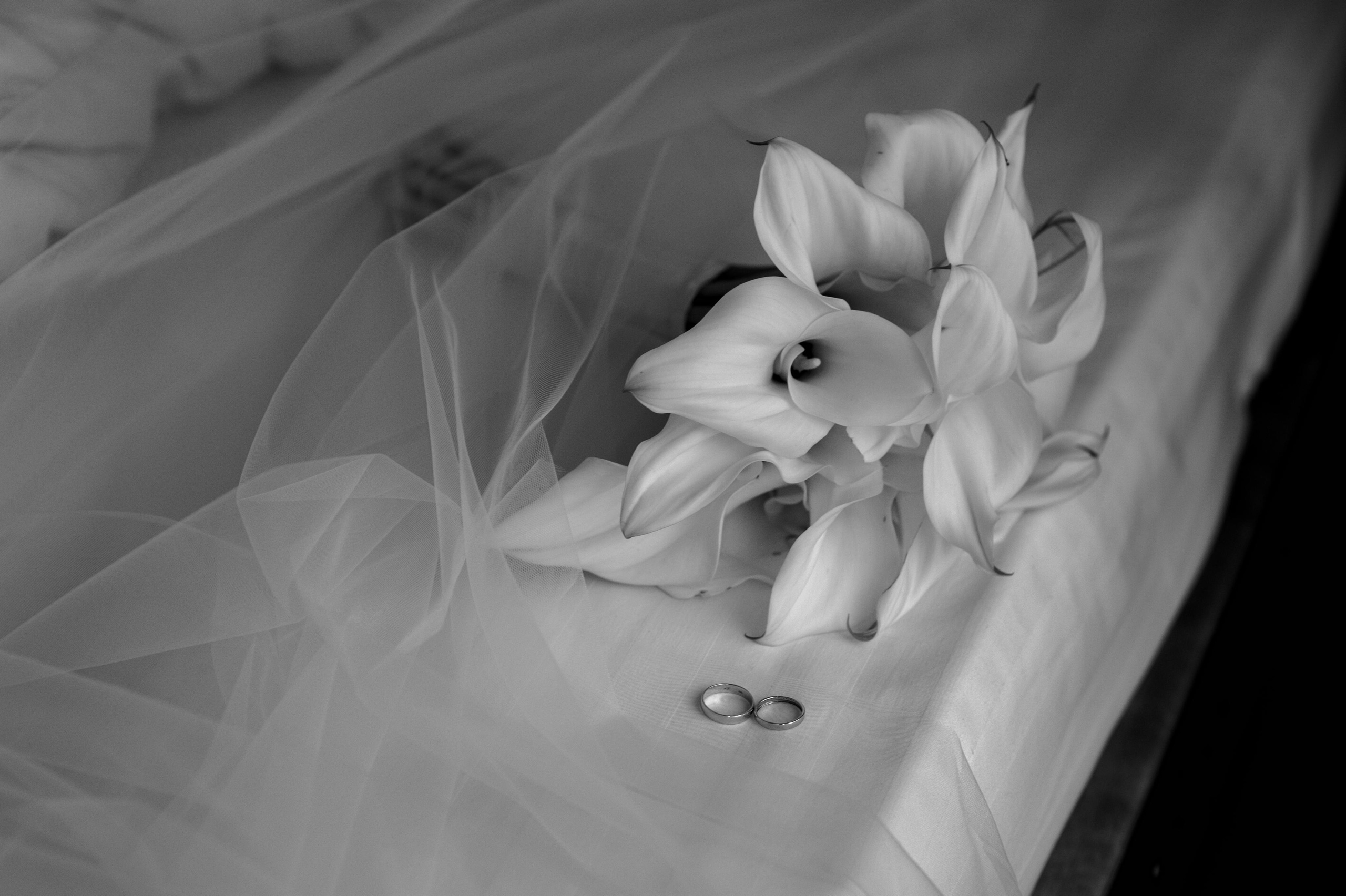 МАША И ИЛЬЯ. Свадебный и семейный фотограф Ольга Медведева