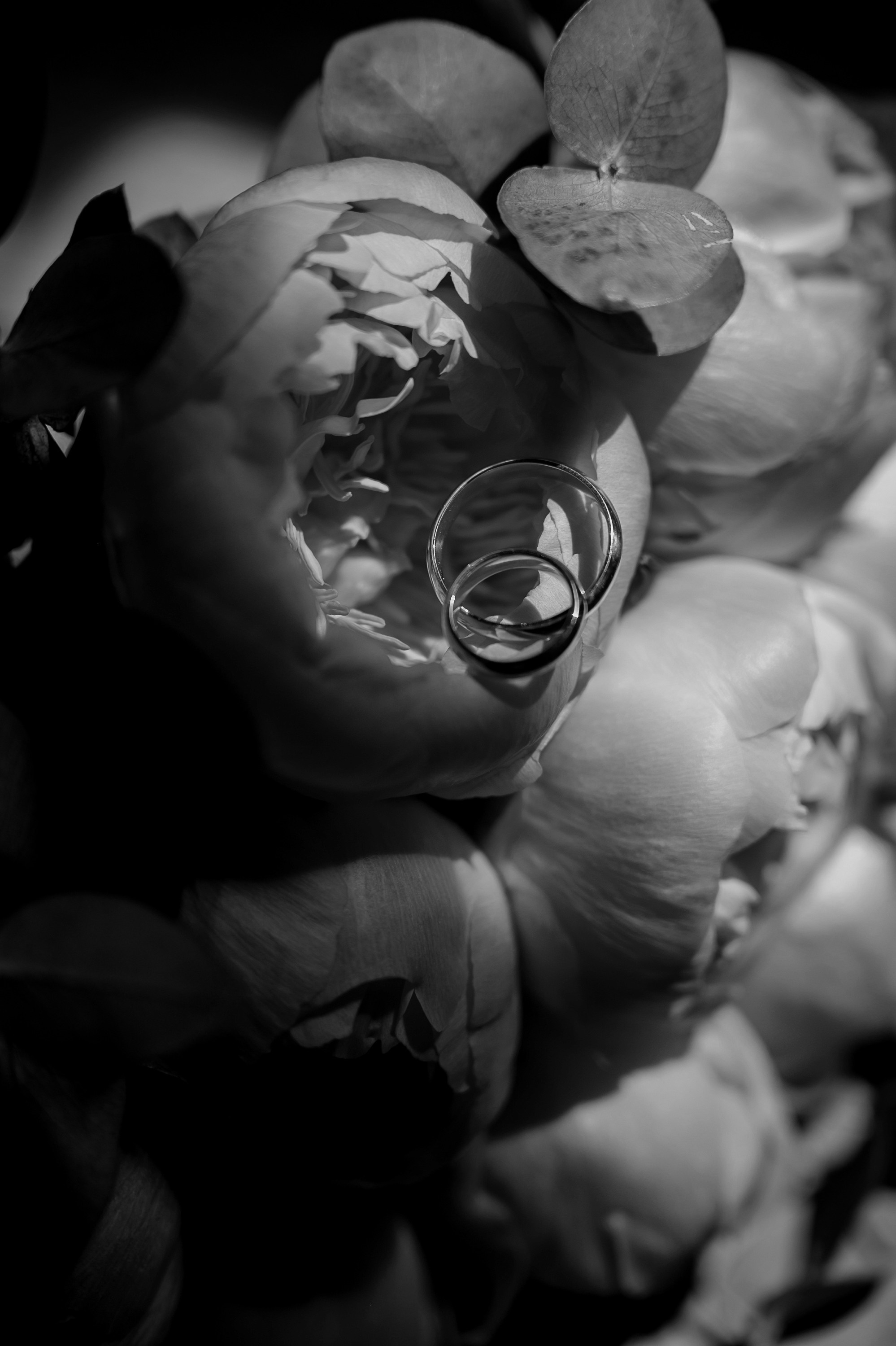 САША И КАРИНА. Свадебный и семейный фотограф Ольга Медведева