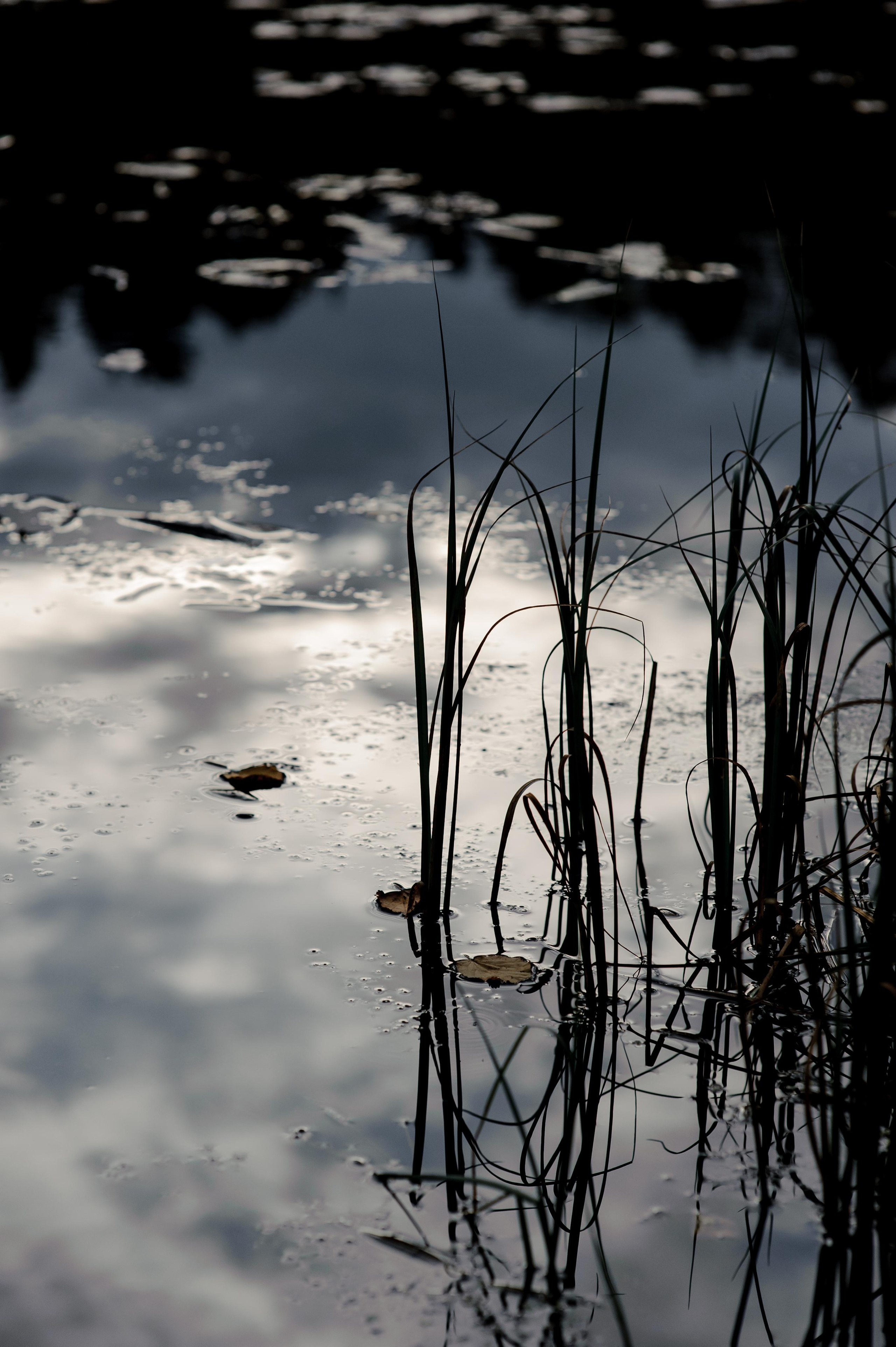 МАША И ИЛЬЯ. Свадебный и семейный фотограф Ольга Медведева