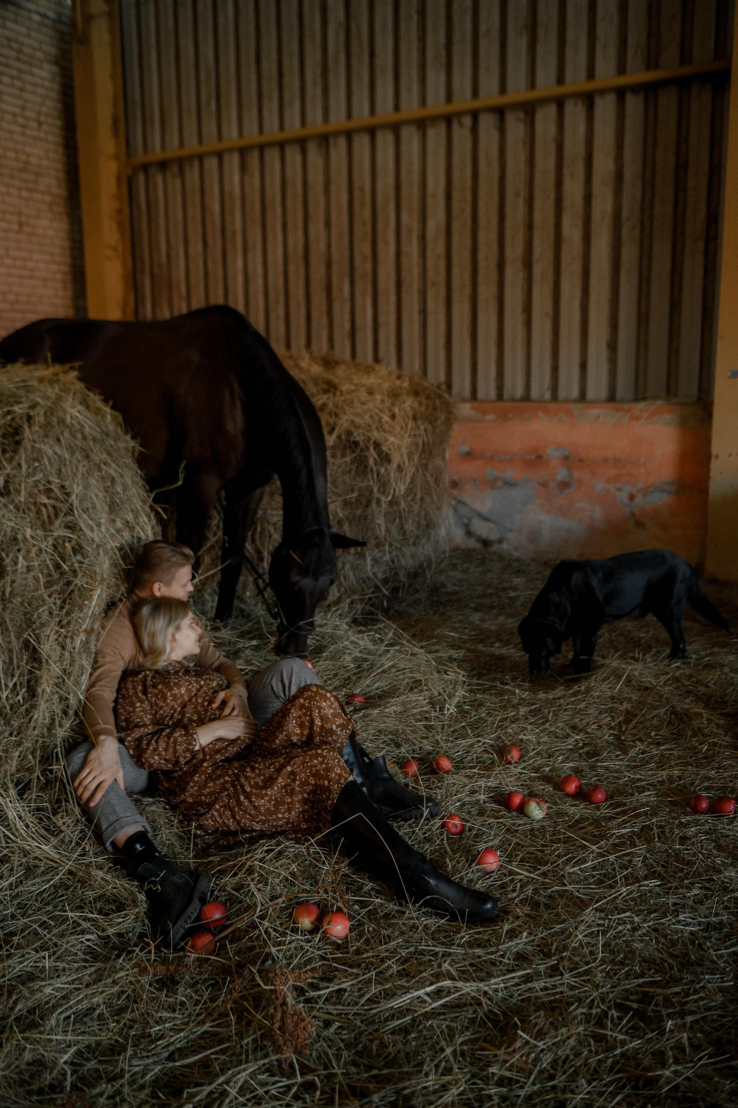 ВЛАД И НАСТЯ. Свадебный и семейный фотограф Ольга Медведева