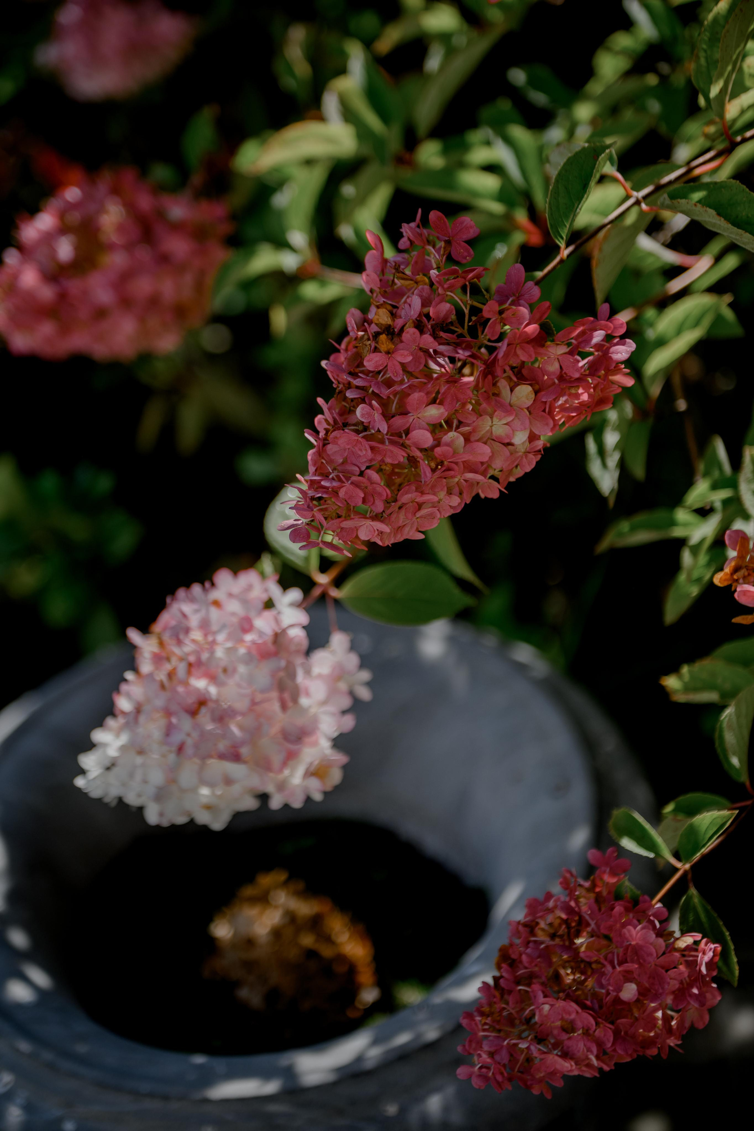 ОЛЯ И СЕРГЕЙ. Свадебный и семейный фотограф Ольга Медведева