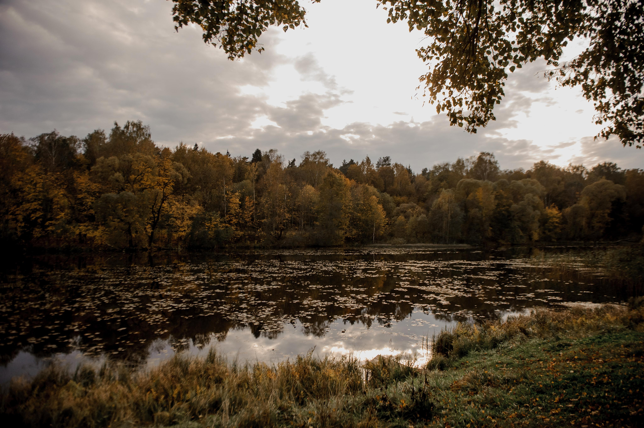 МАША И ИЛЬЯ. Свадебный и семейный фотограф Ольга Медведева