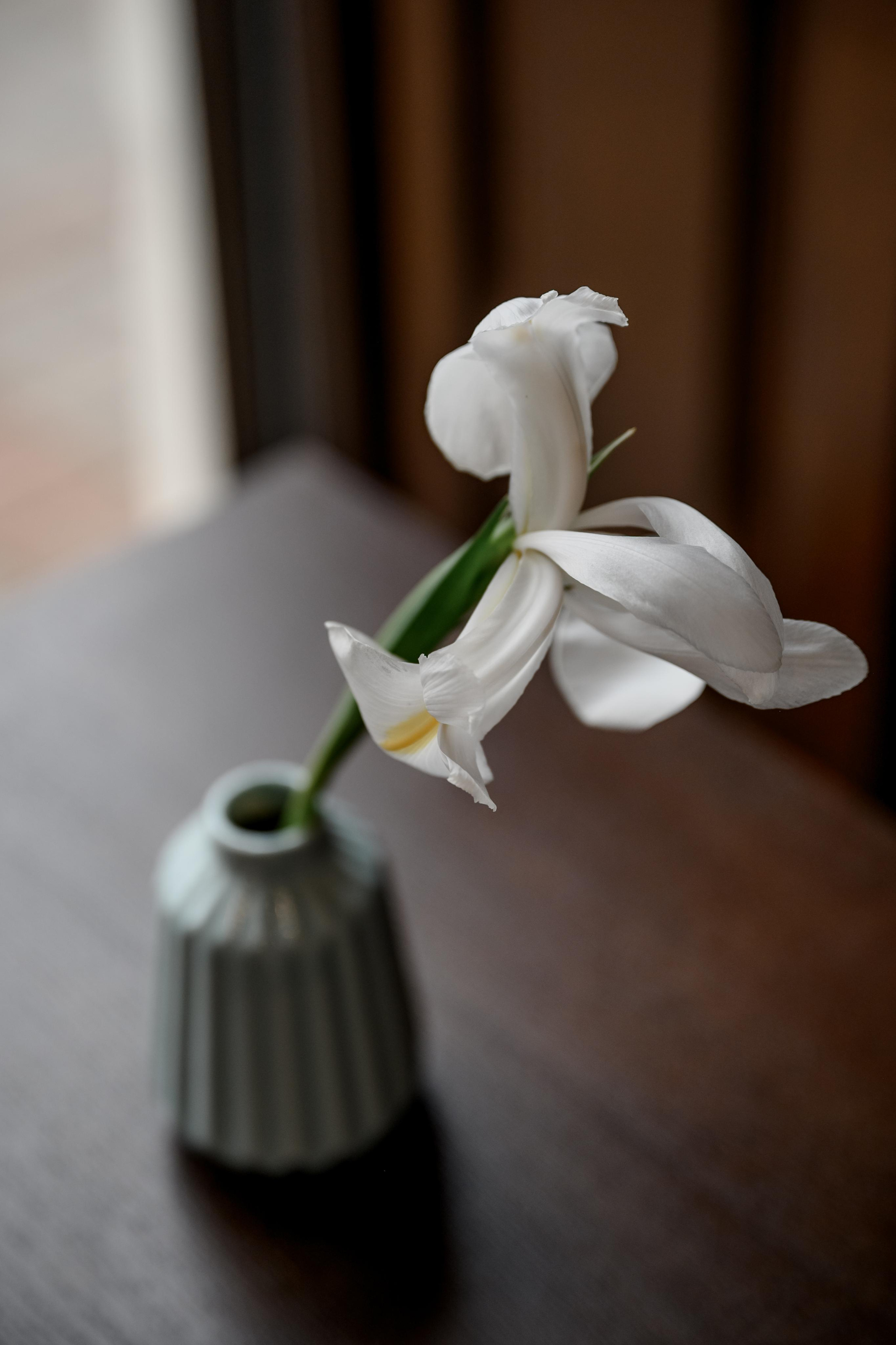 ПОЛИНА. Свадебный и семейный фотограф Ольга Медведева