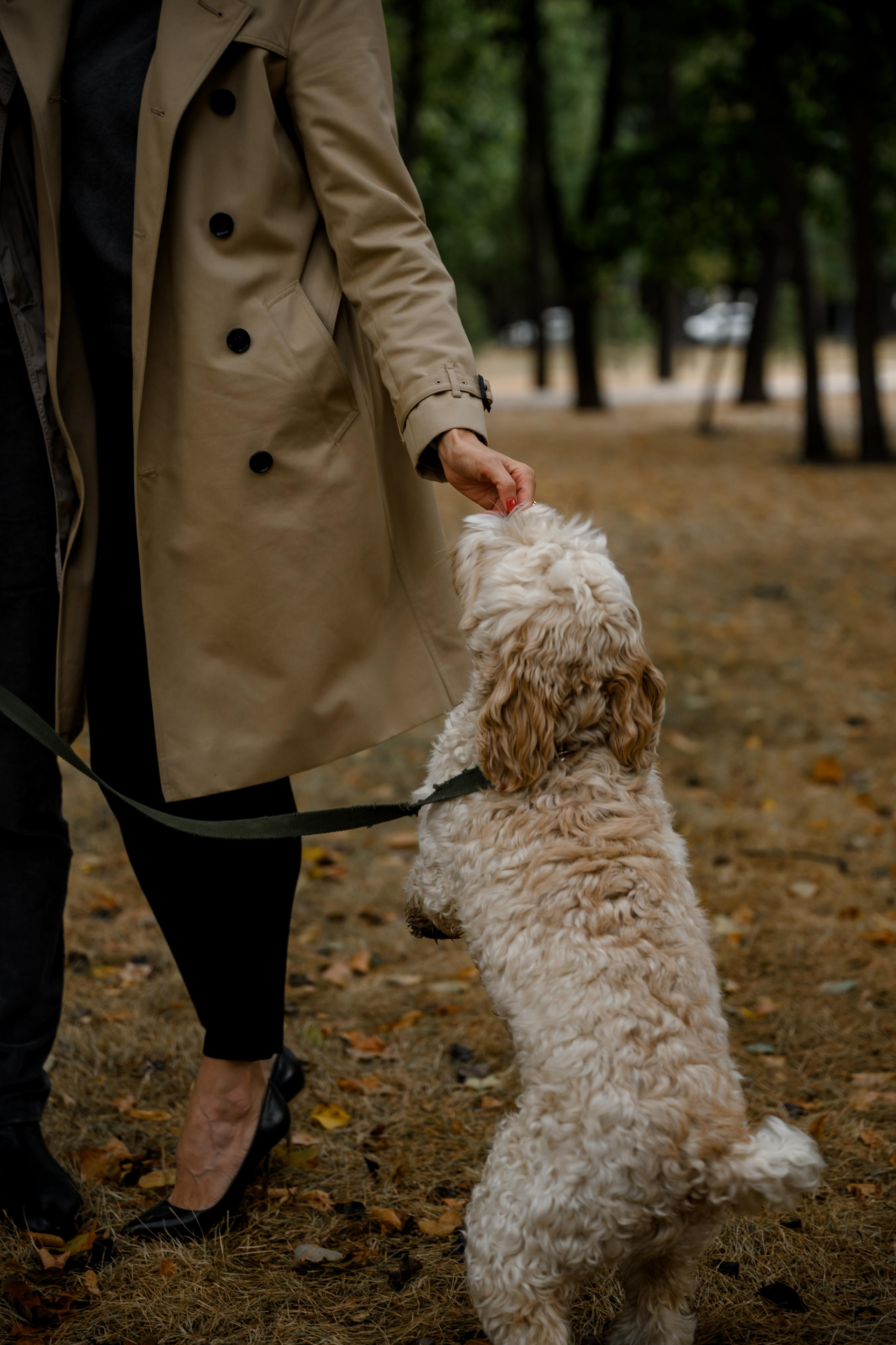 САША И ОКСАНА. Свадебный и семейный фотограф Ольга Медведева