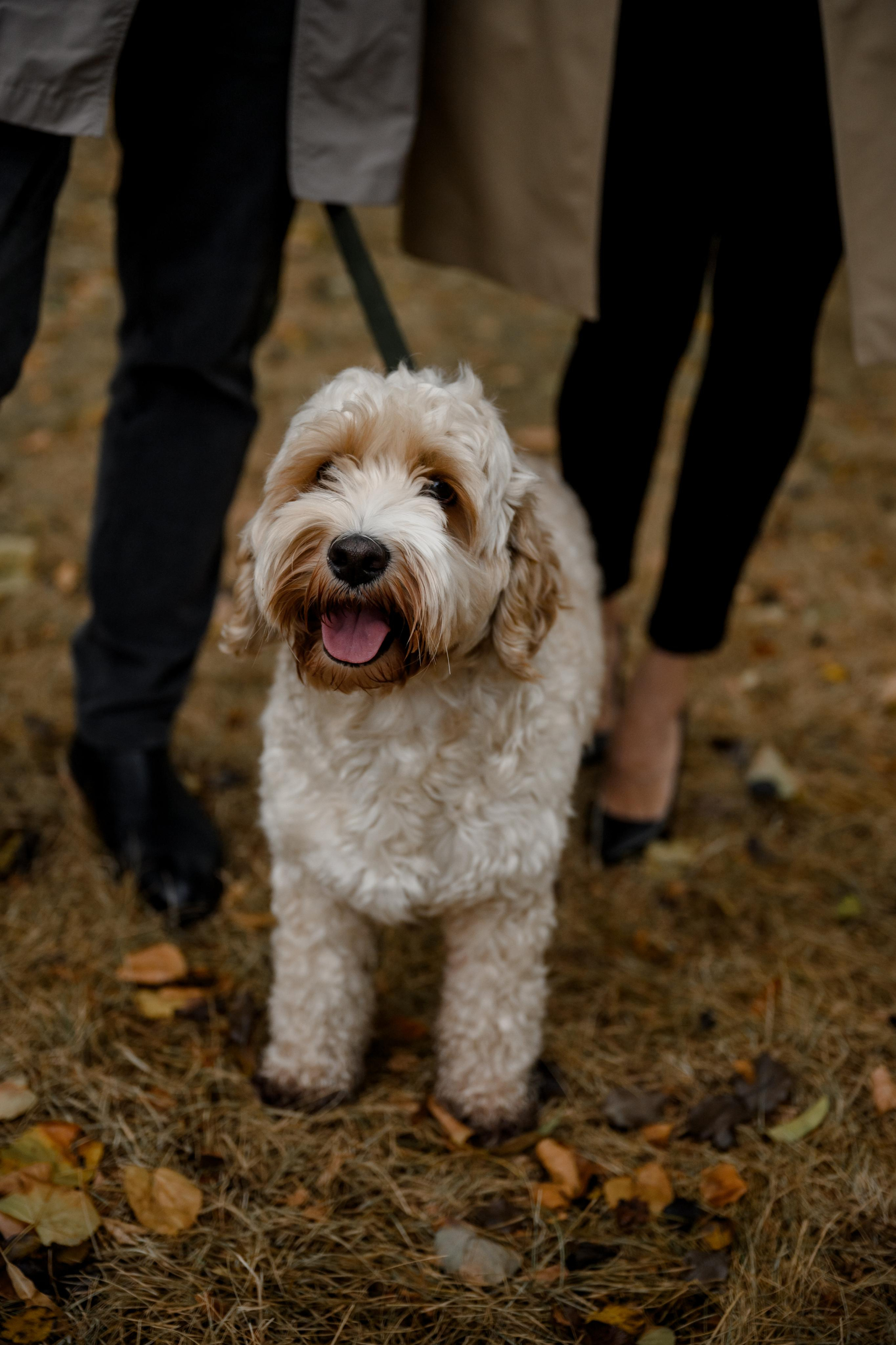 САША И ОКСАНА. Свадебный и семейный фотограф Ольга Медведева