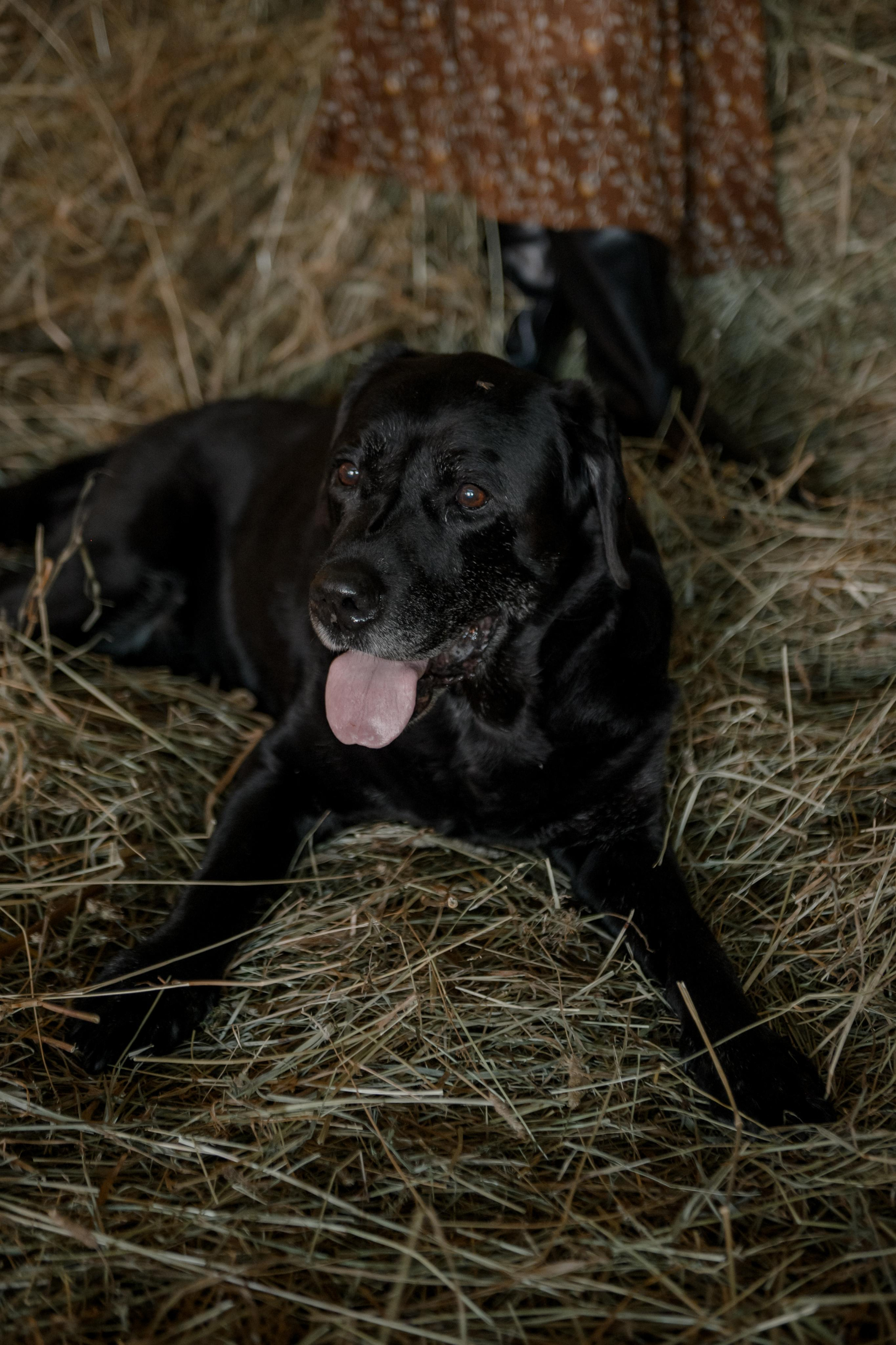 ВЛАД И НАСТЯ. Свадебный и семейный фотограф Ольга Медведева