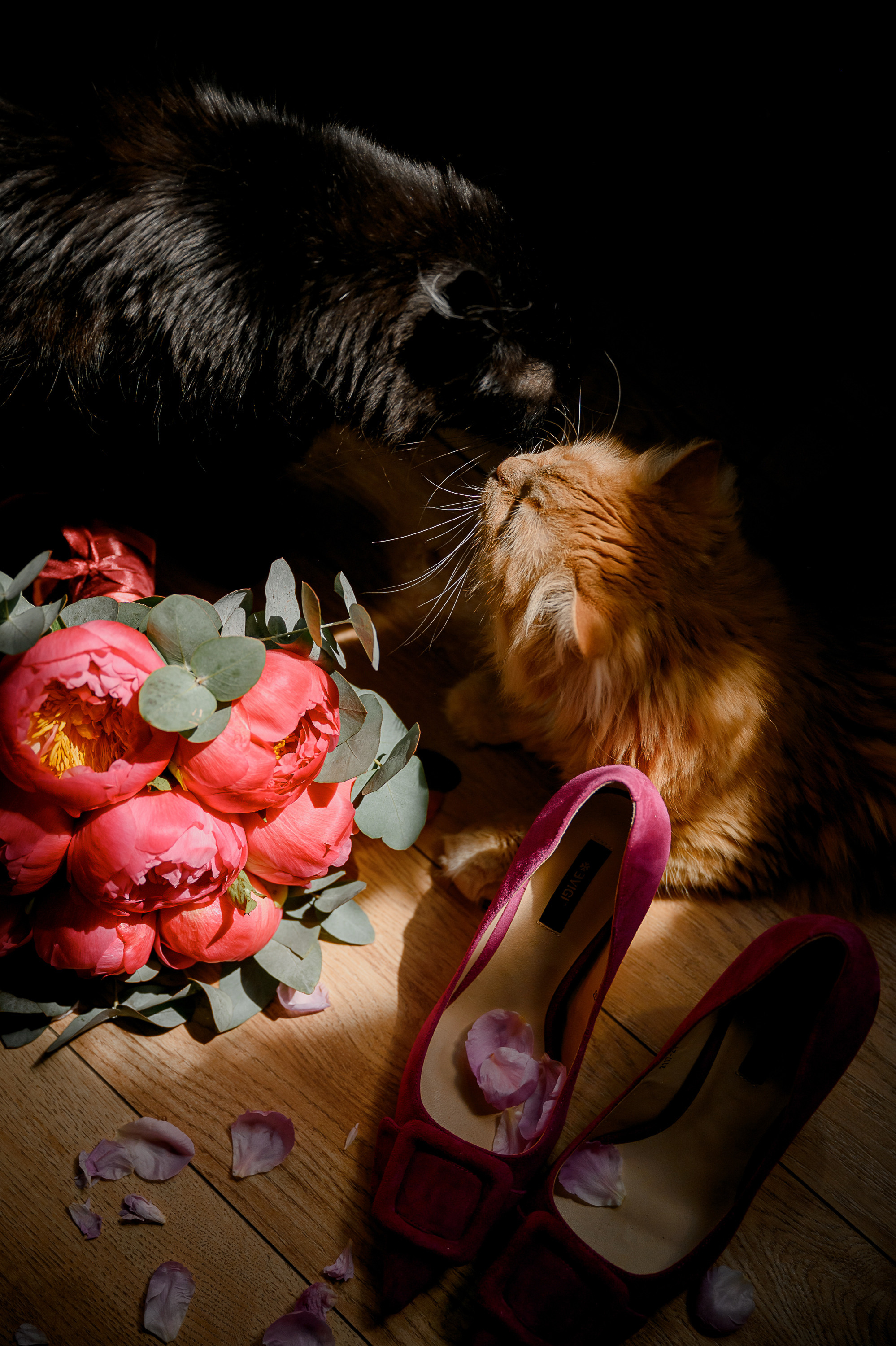 САША И КАРИНА. Свадебный и семейный фотограф Ольга Медведева