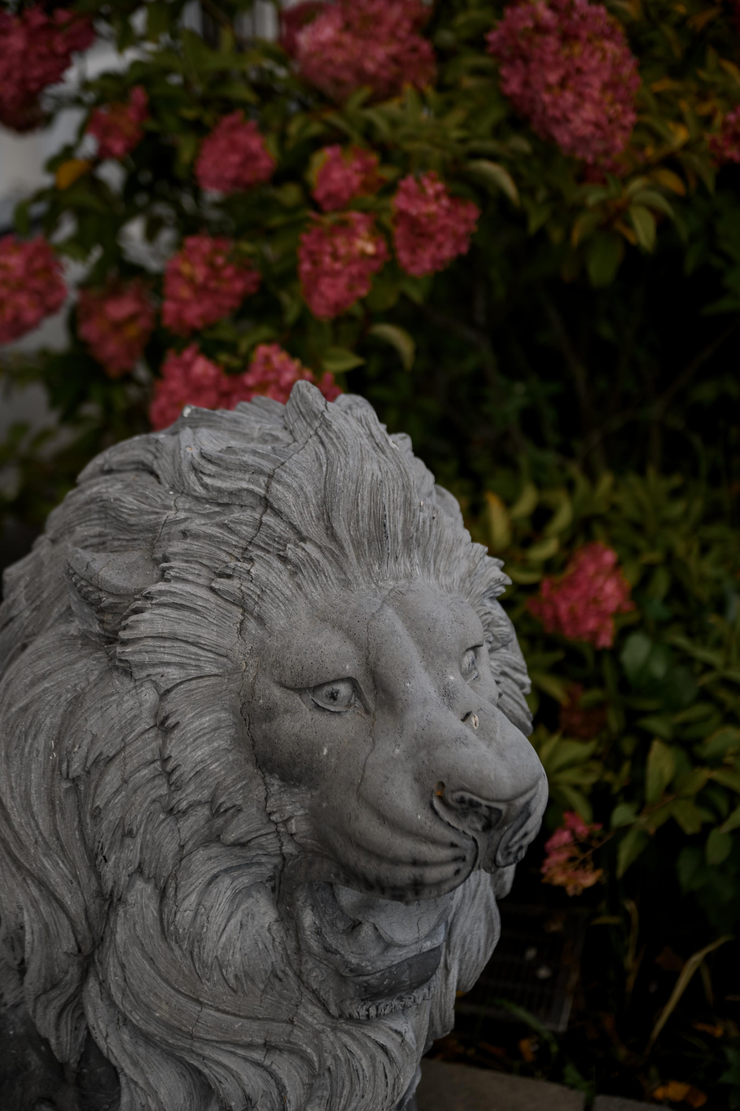 ОЛЯ И СЕРГЕЙ. Свадебный и семейный фотограф Ольга Медведева