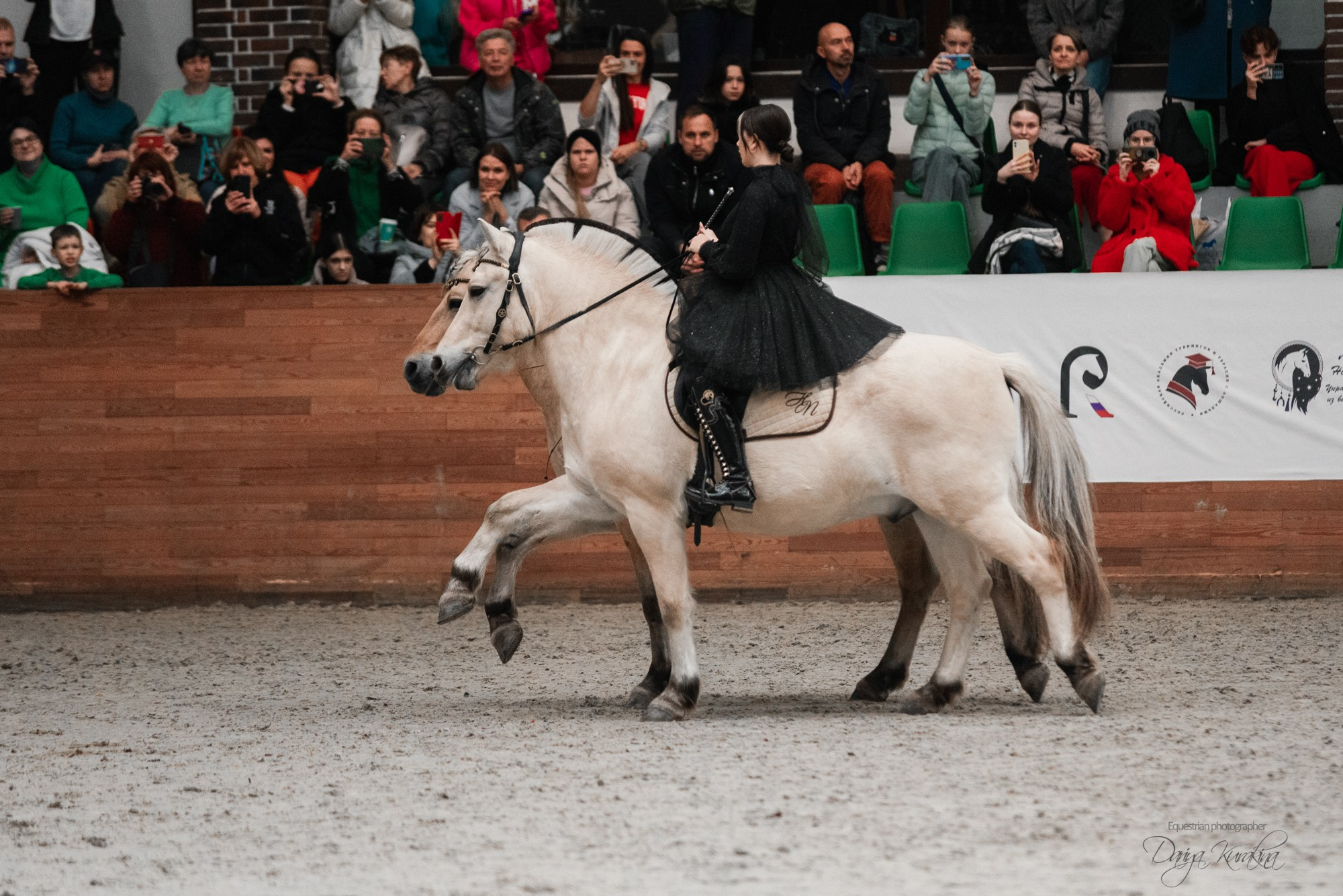 8-я международная выставка Конная Россия. Конный фотограф Куракина Дарья • Фотосессии с лошадьми